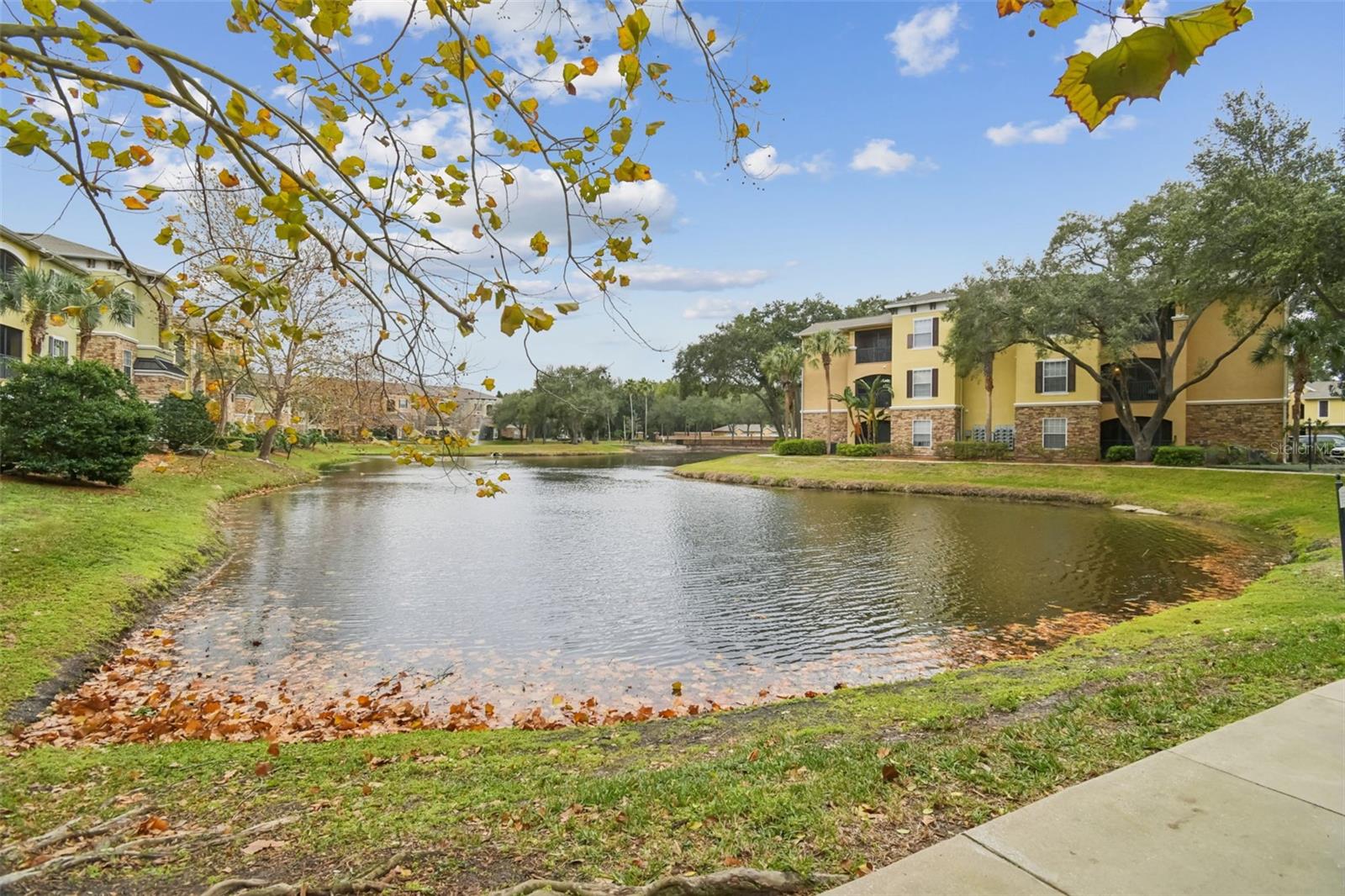 Image 5 of 95 For 10209 Courtney Palms Boulevard 101