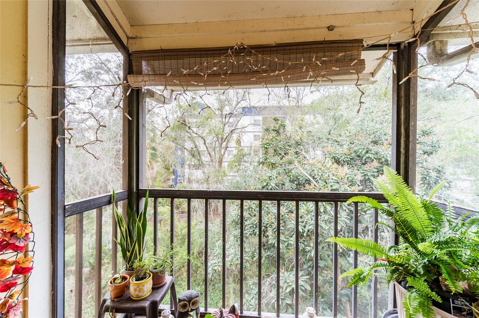 Image 16 of 18 For 13367 Arbor Pointe Circle 304