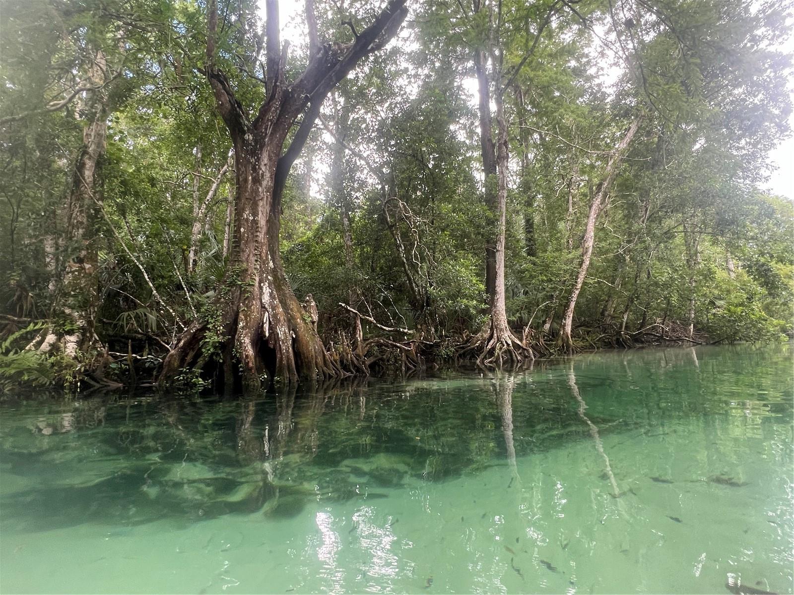 Image 10 of 10 For 0 Waverly Road