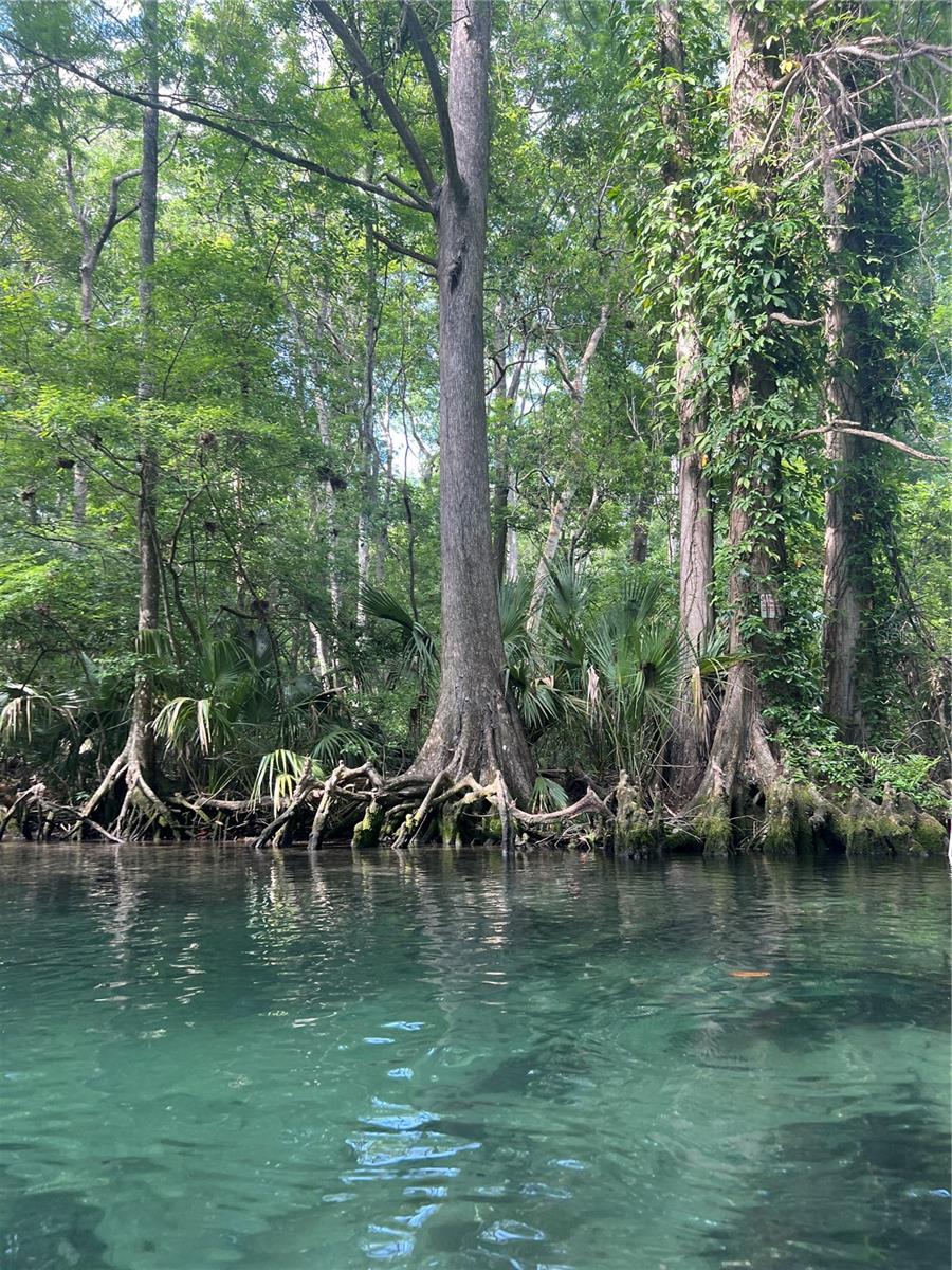 Image 5 of 10 For 0 Waverly Road