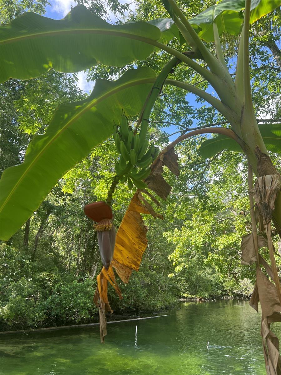 Image 6 of 10 For 0 Waverly Road