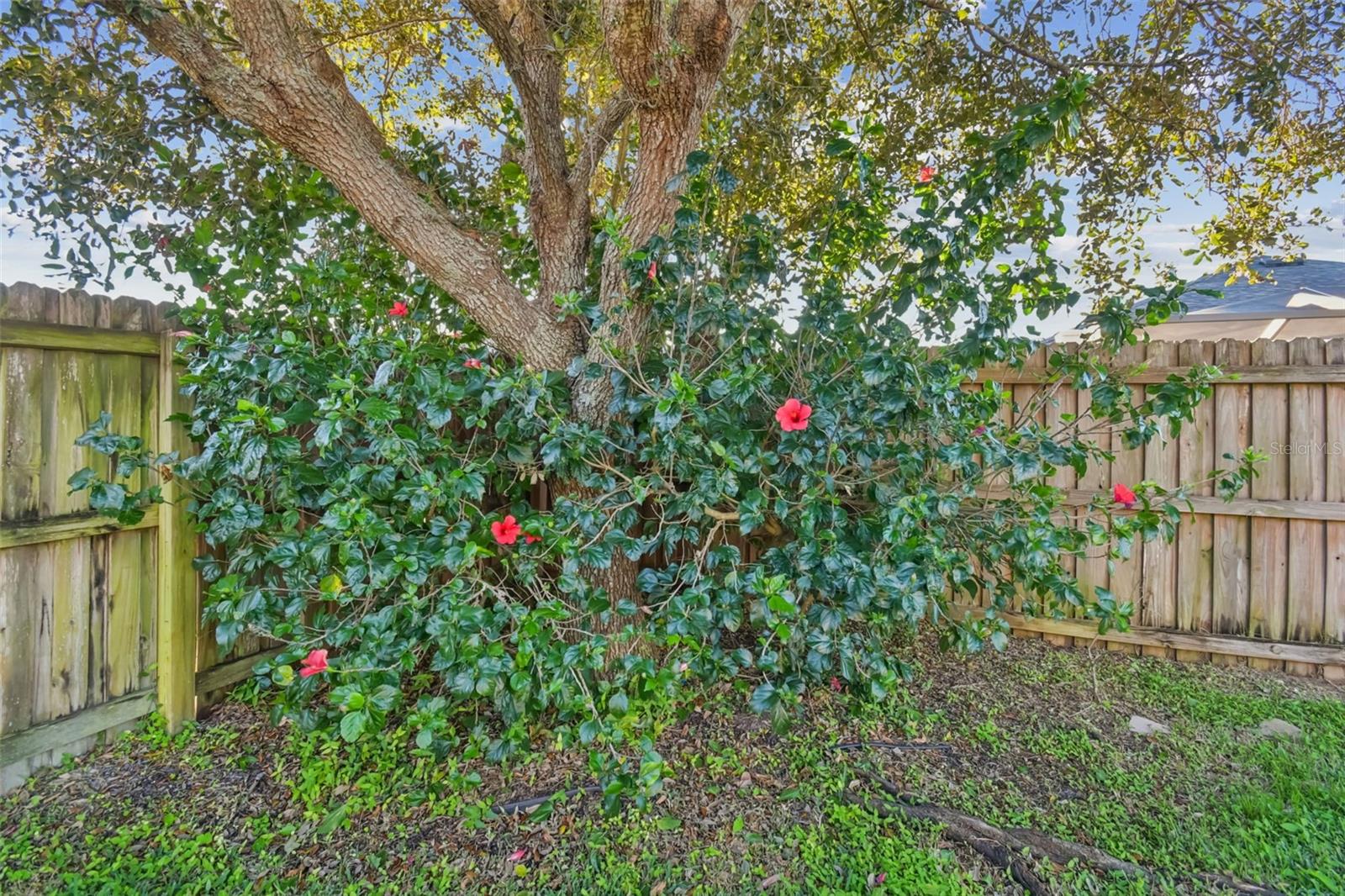 Image 47 of 84 For 13709 Sanford Hill Place