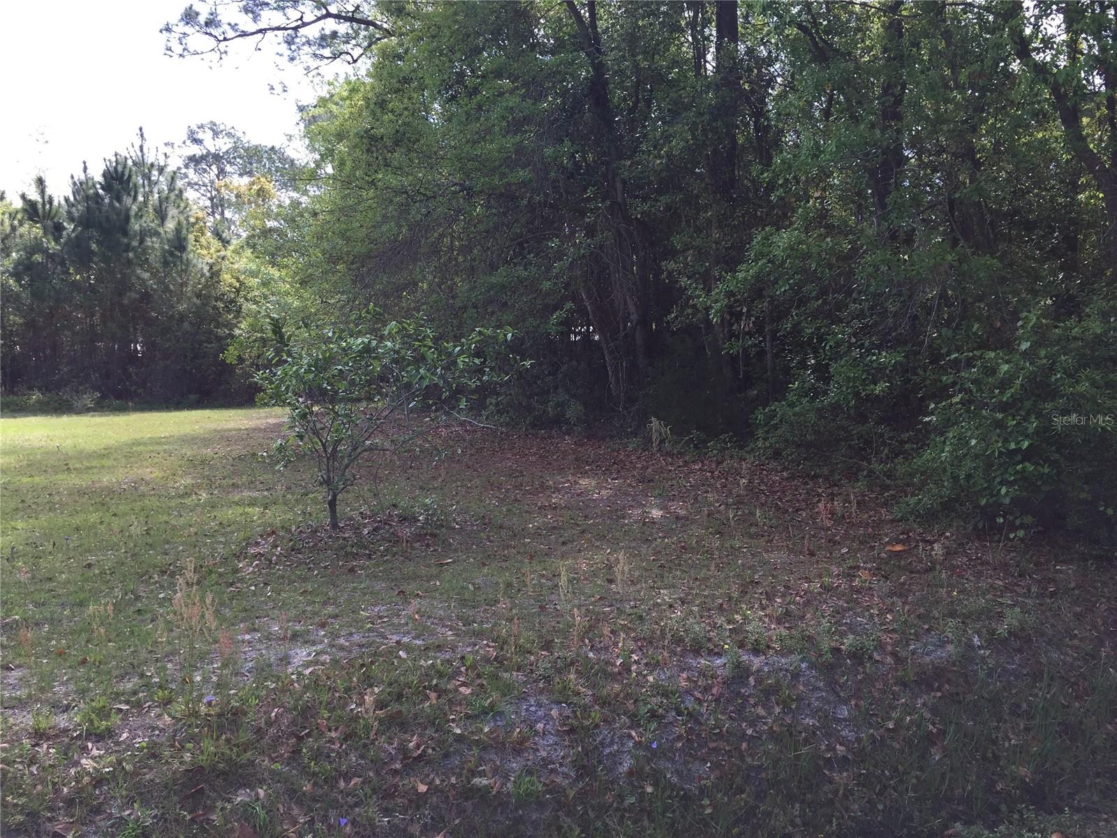 Image 2 of 3 For 18th