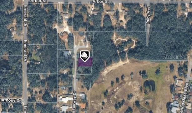 Listing Details for 6176 Fairway Drive, RIDGE MANOR, FL 33523