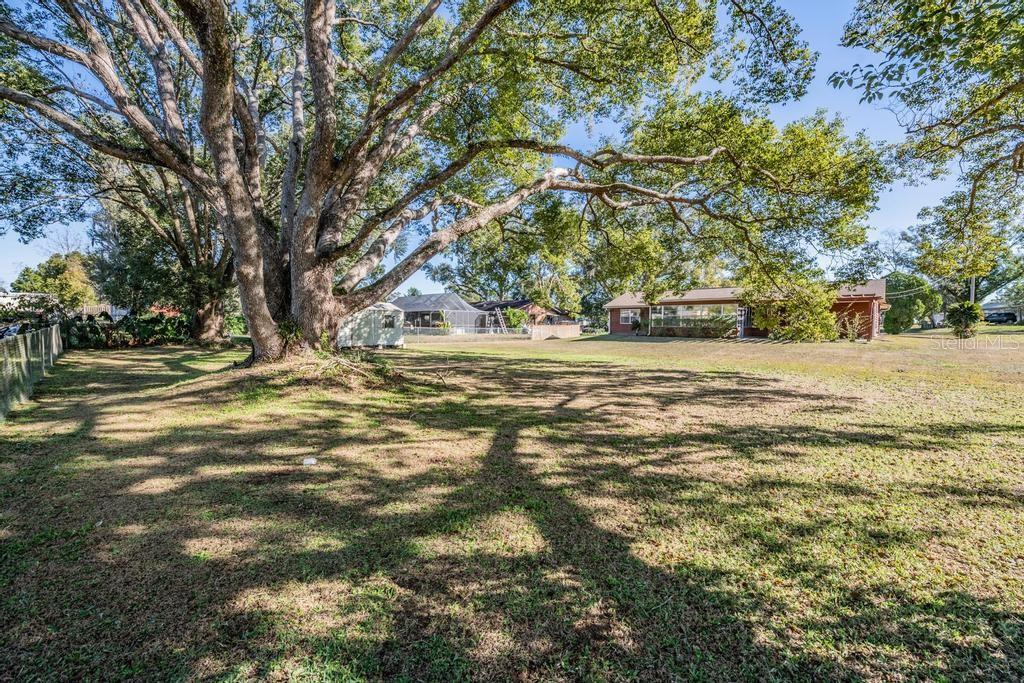 Image 28 of 30 For 7343 Andre Drive