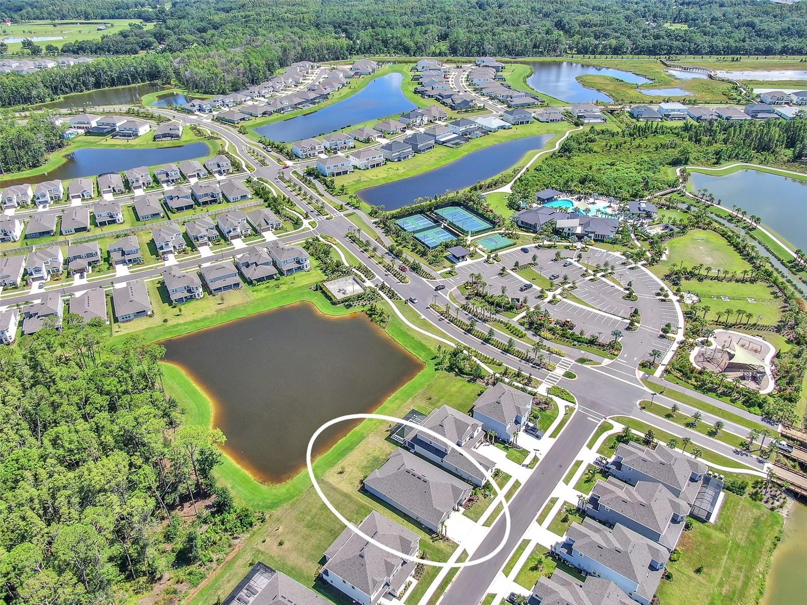 Image 8 of 40 For 33372 Landsman Loop