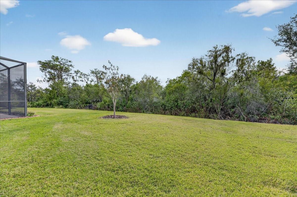 Image 49 of 62 For 16227 Diamond Bay Drive