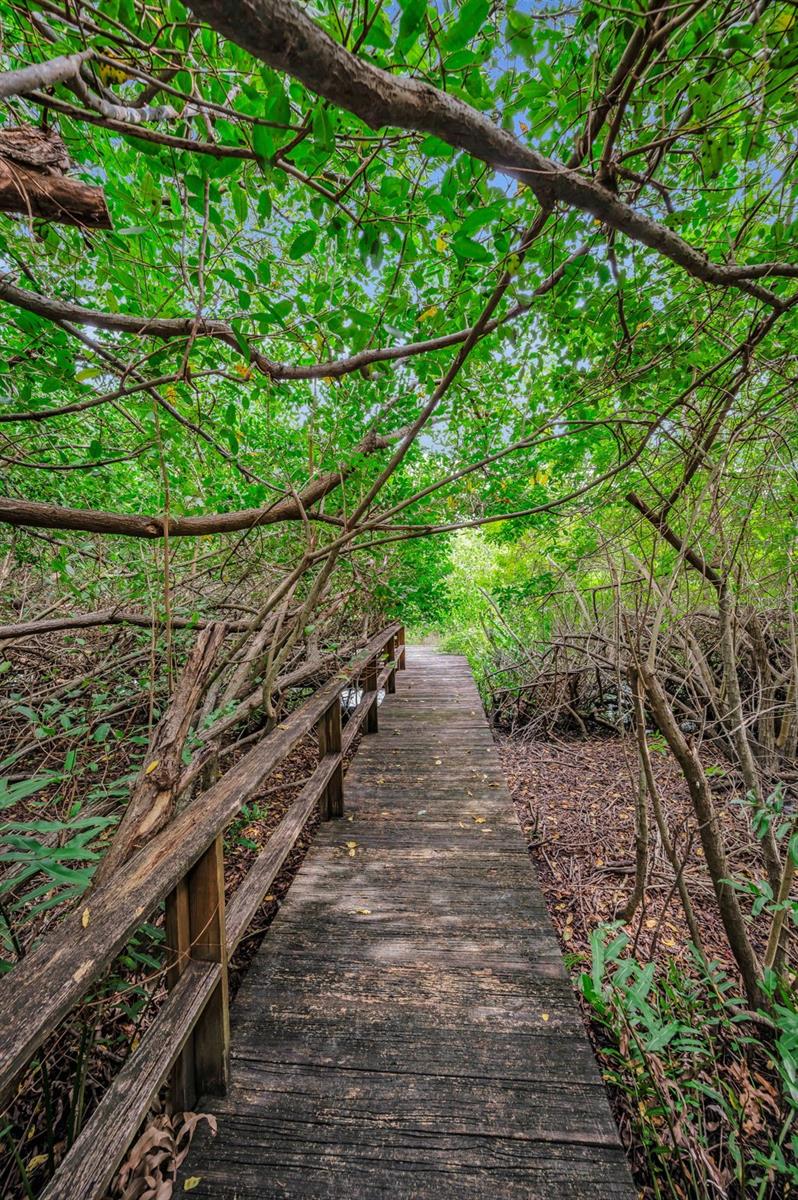 Image 89 of 98 For 8871 Silverthorn Road