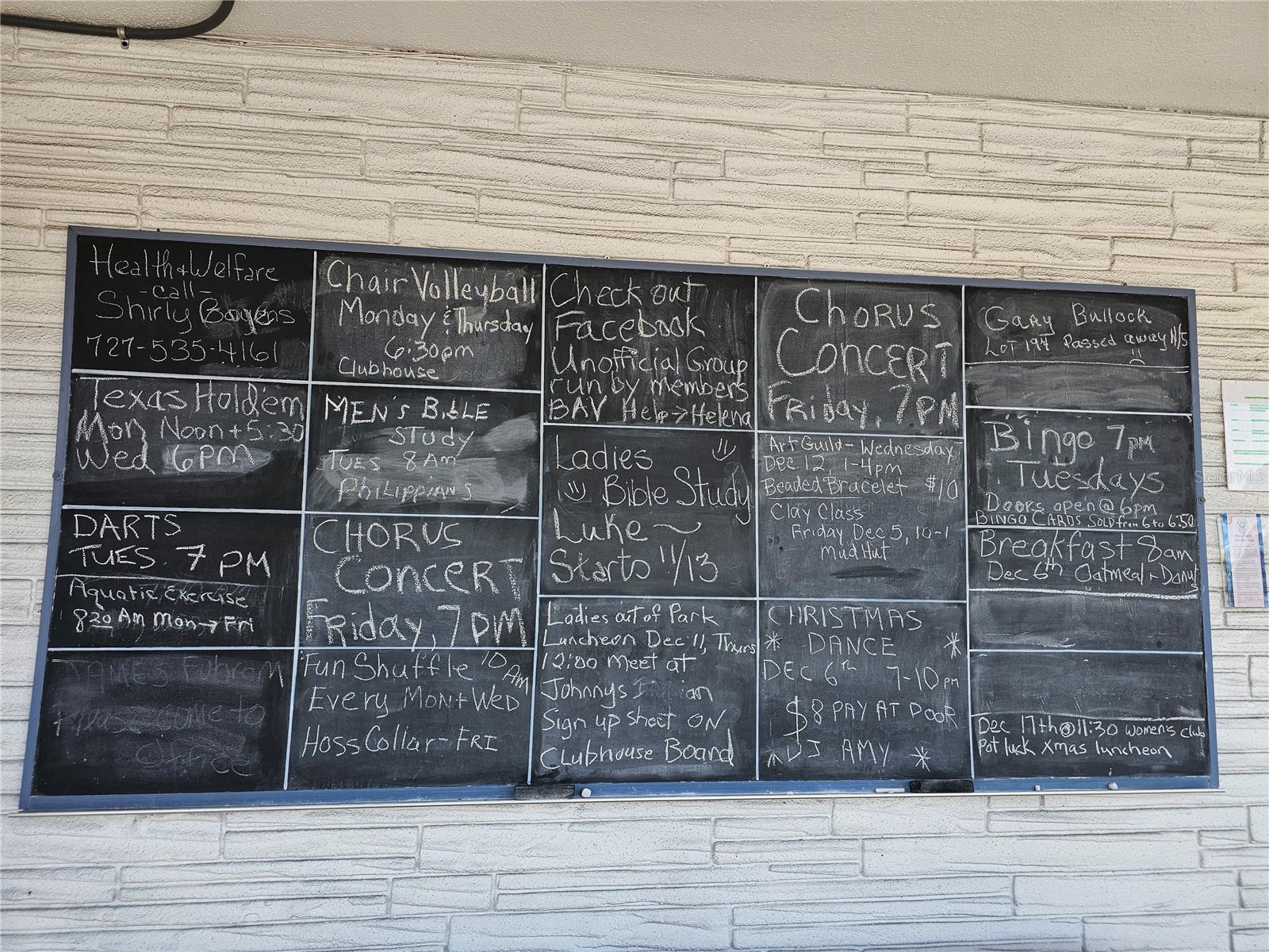 Listing photo id 19 for 18675 Us Highway 19 N 498