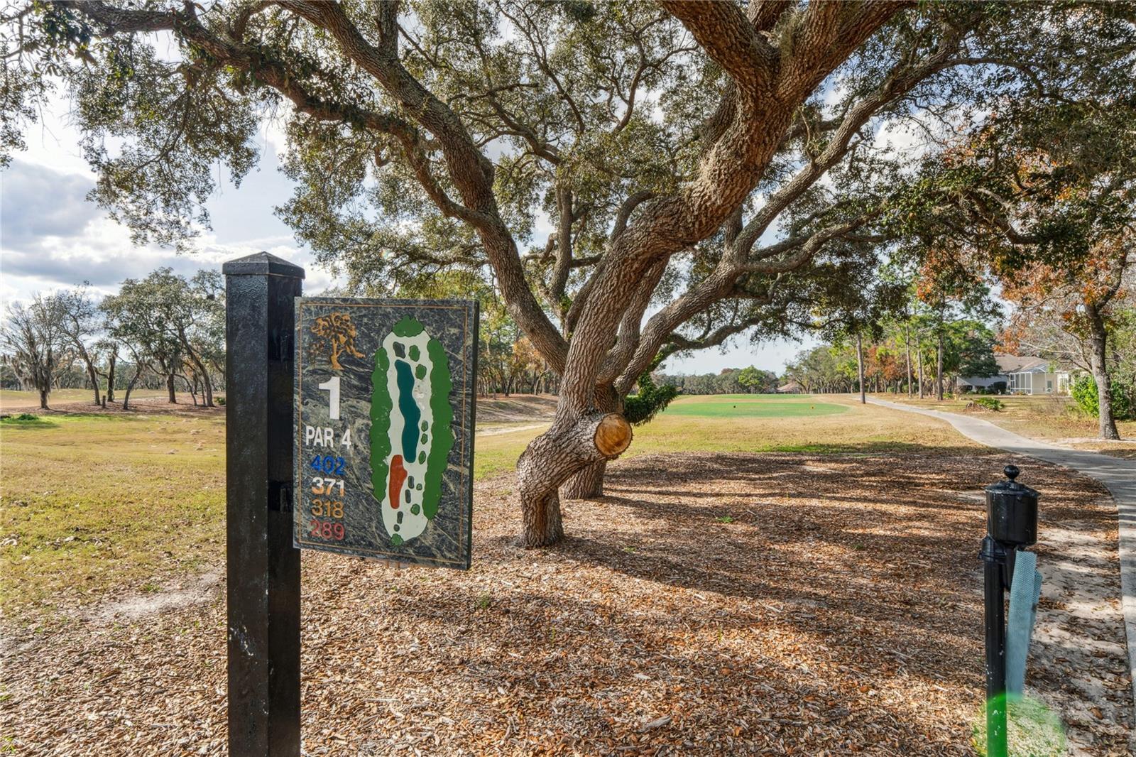 Image 64 of 76 For 6 Deerwood Drive