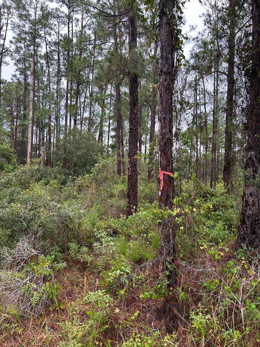 Details for 216 Bougainville Drive, INDIAN LAKE ESTATES, FL 33855