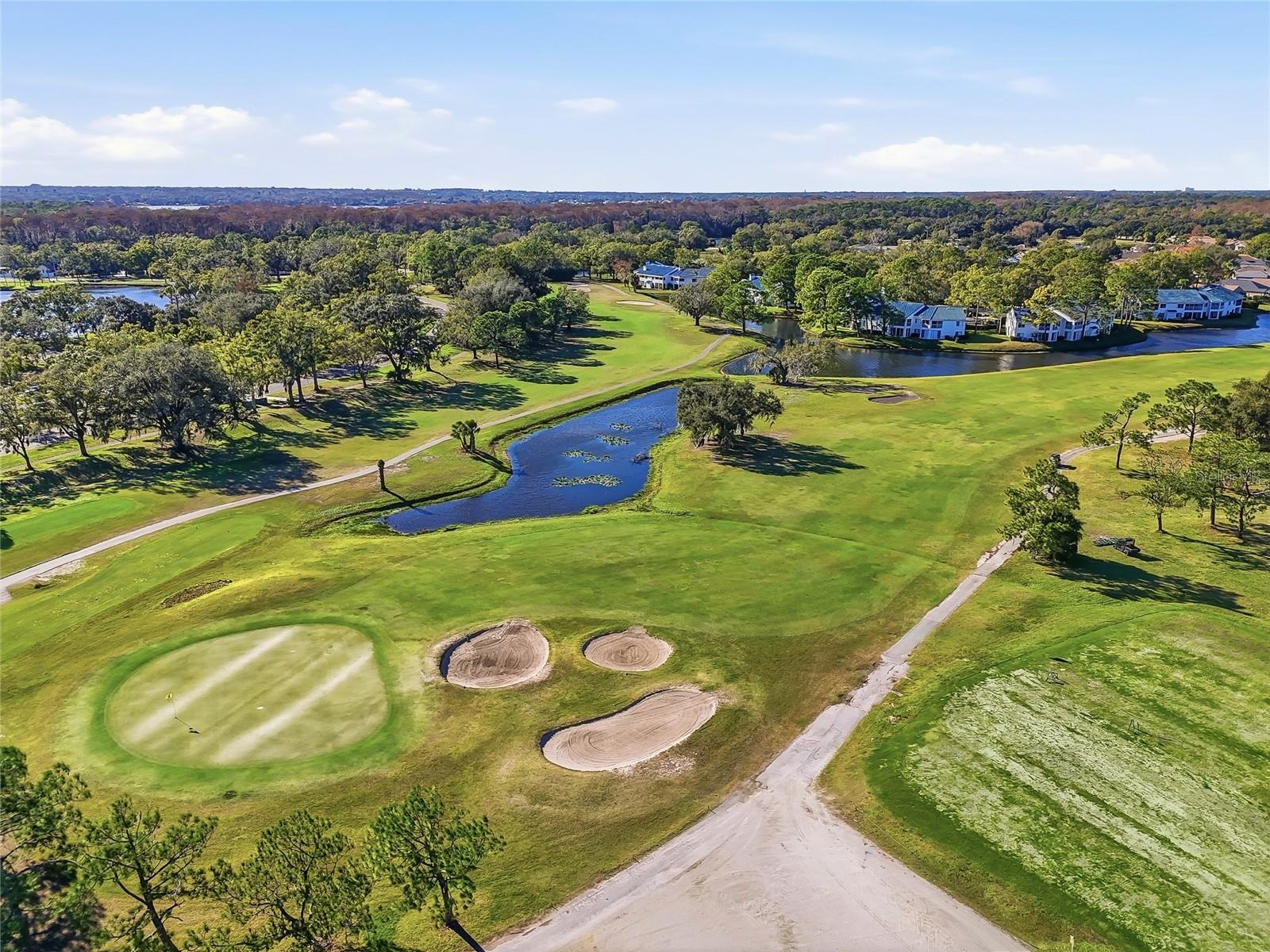 Listing photo id 67 for 4092 Carlyle Lakes Boulevard