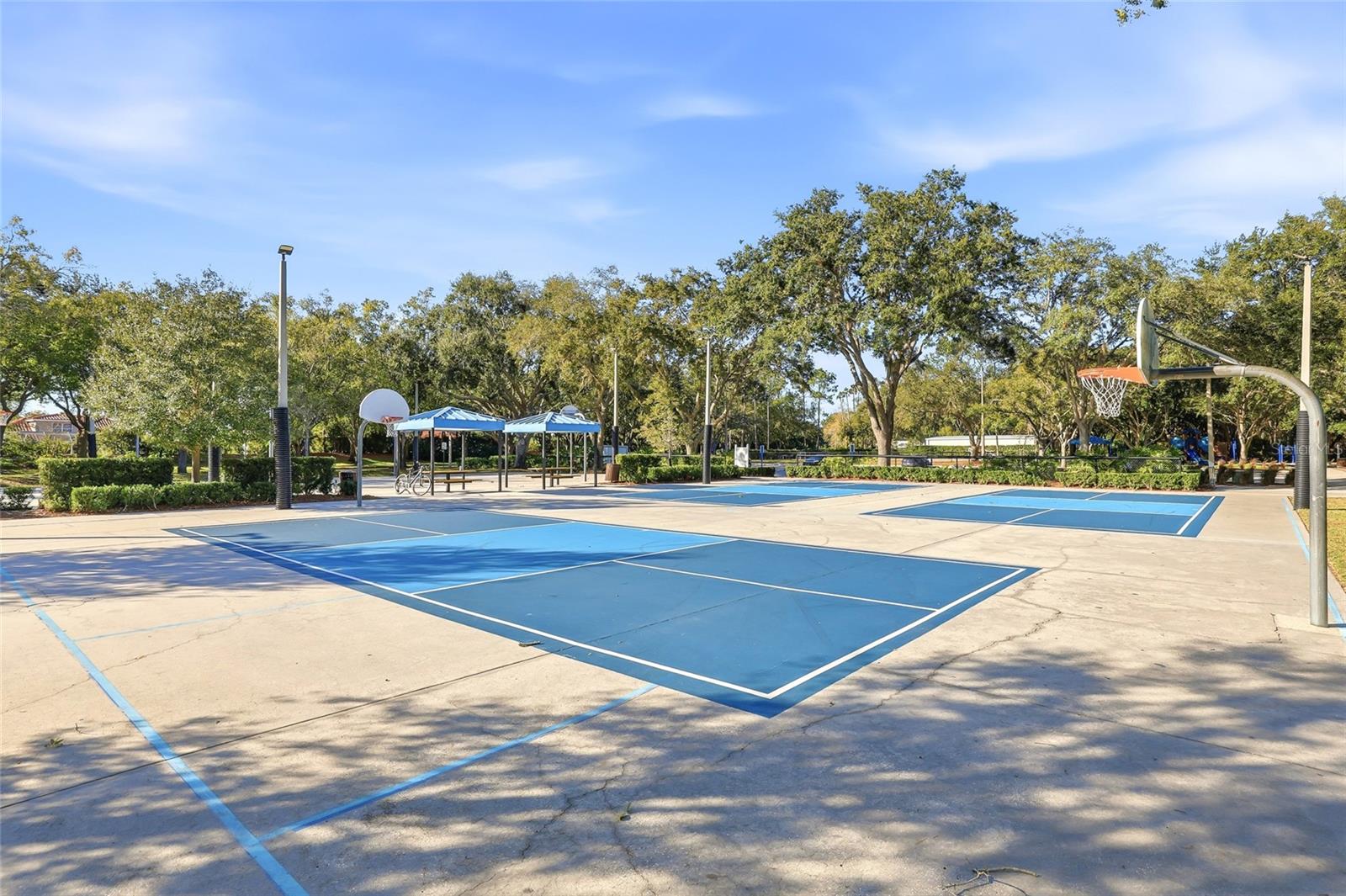 Listing photo id 71 for 4092 Carlyle Lakes Boulevard