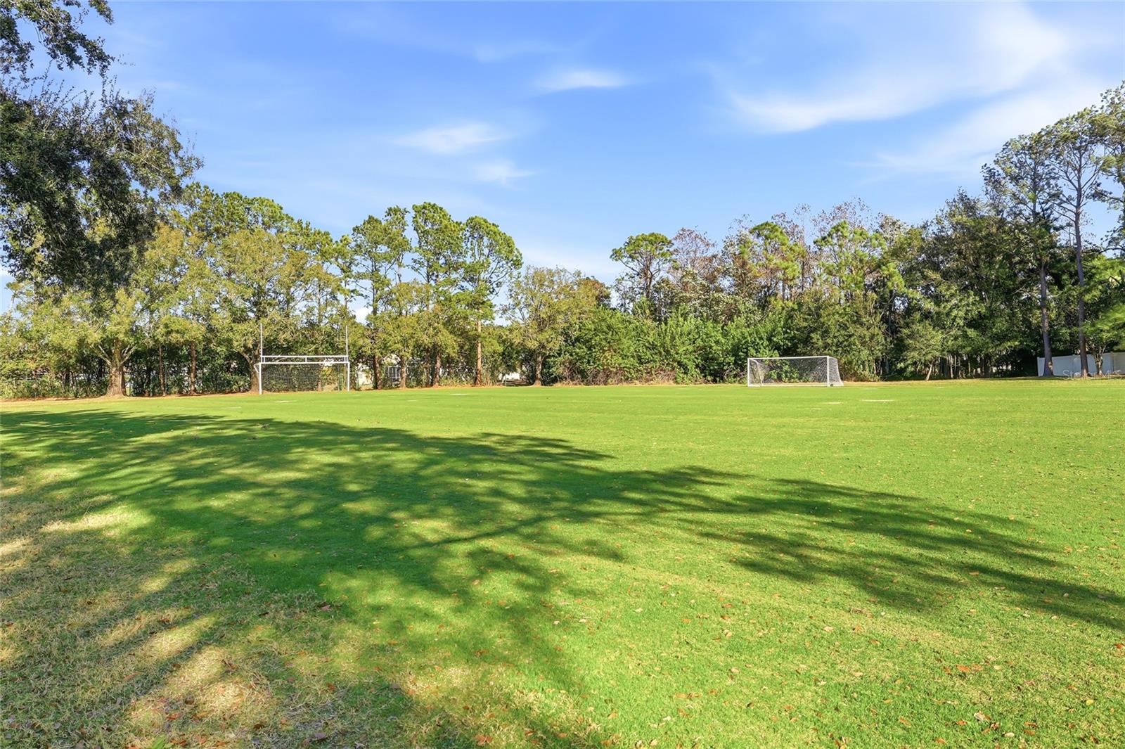 Listing photo id 72 for 4092 Carlyle Lakes Boulevard