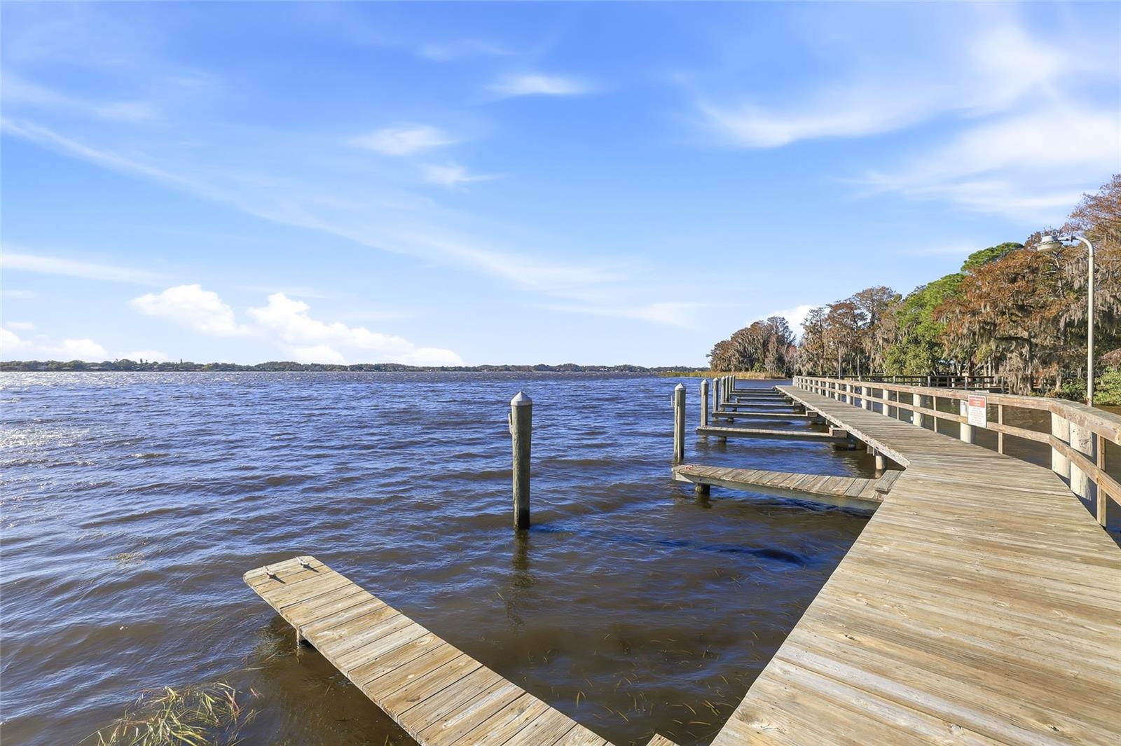 Listing photo id 76 for 4092 Carlyle Lakes Boulevard