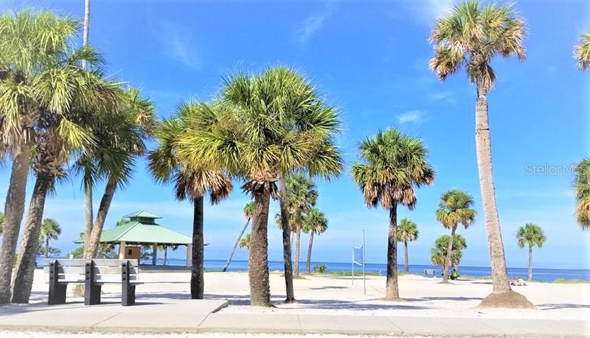 Image 54 of 56 For 2504 Oak Circle