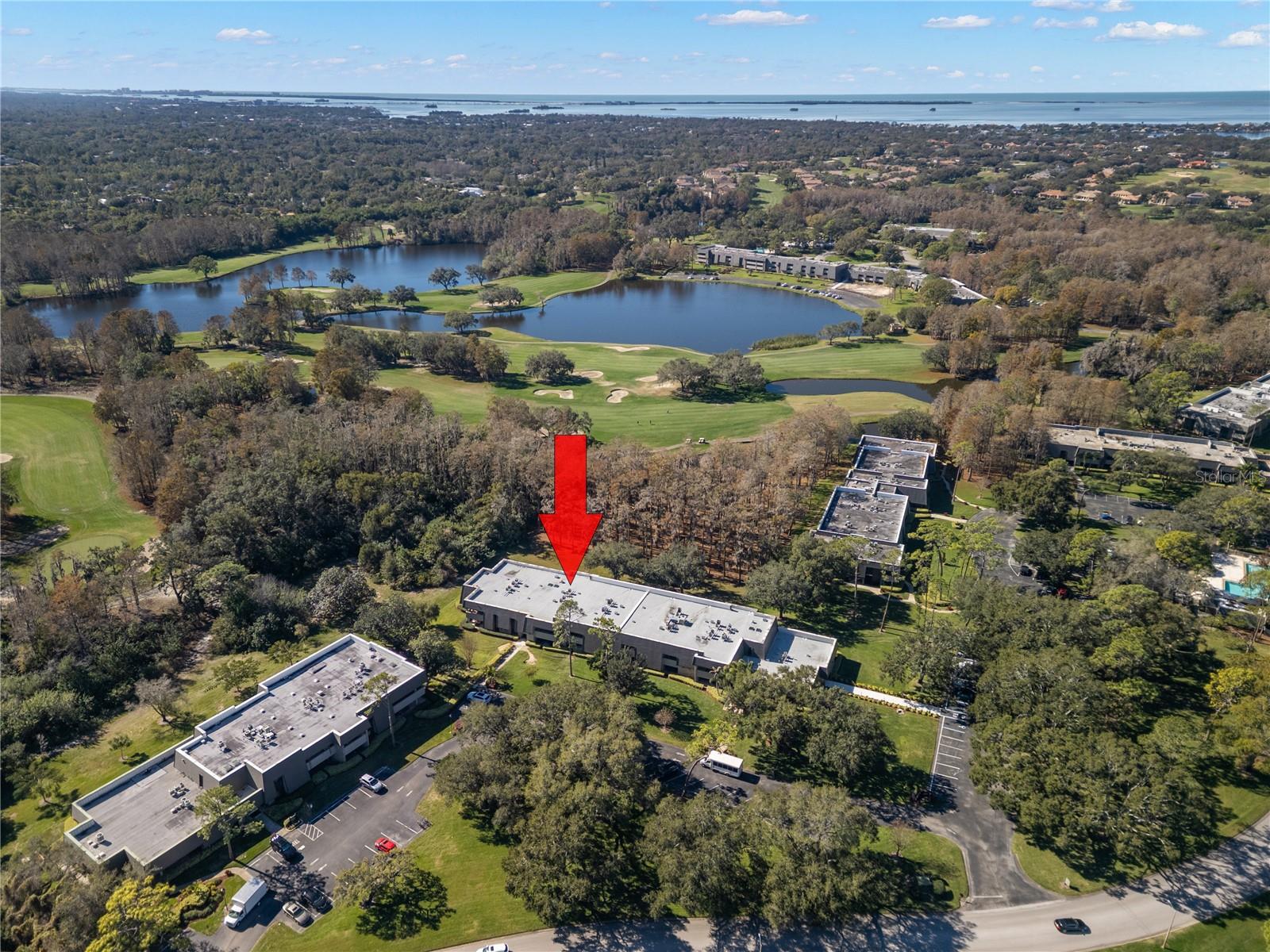 Image 10 of 36 For 36750 Us Highway 19 N 6-111-2043