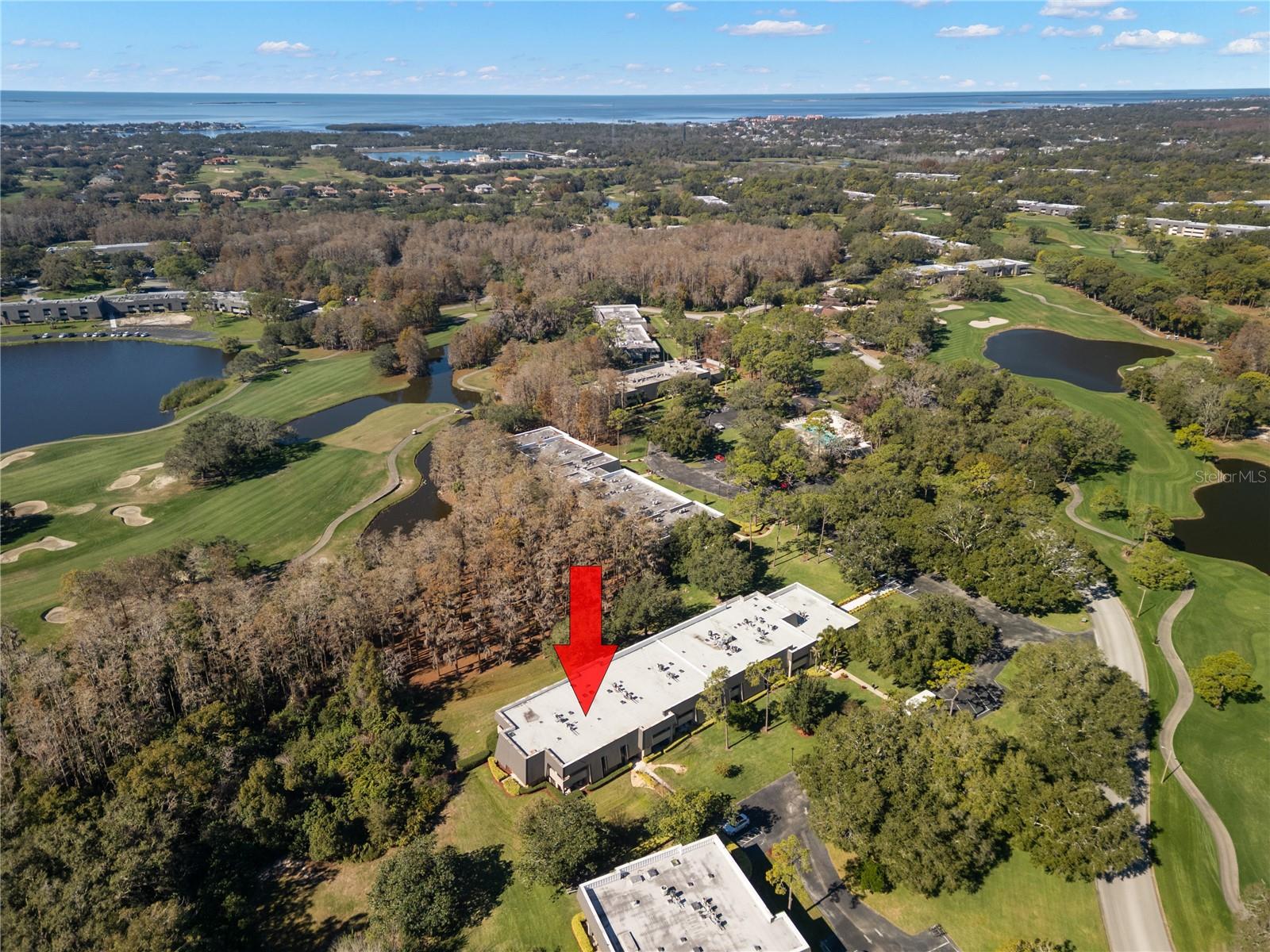 Image 7 of 36 For 36750 Us Highway 19 N 6-111-2043