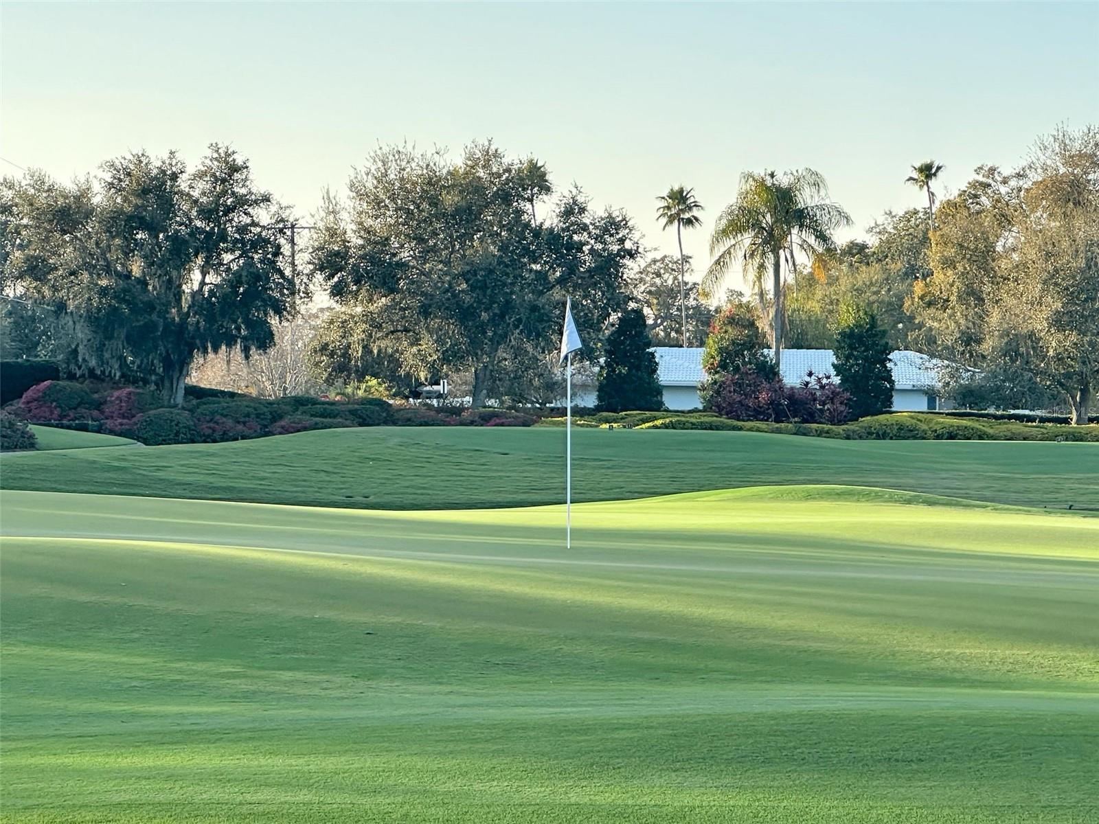 Image 64 of 75 For 4 Hibiscus Road