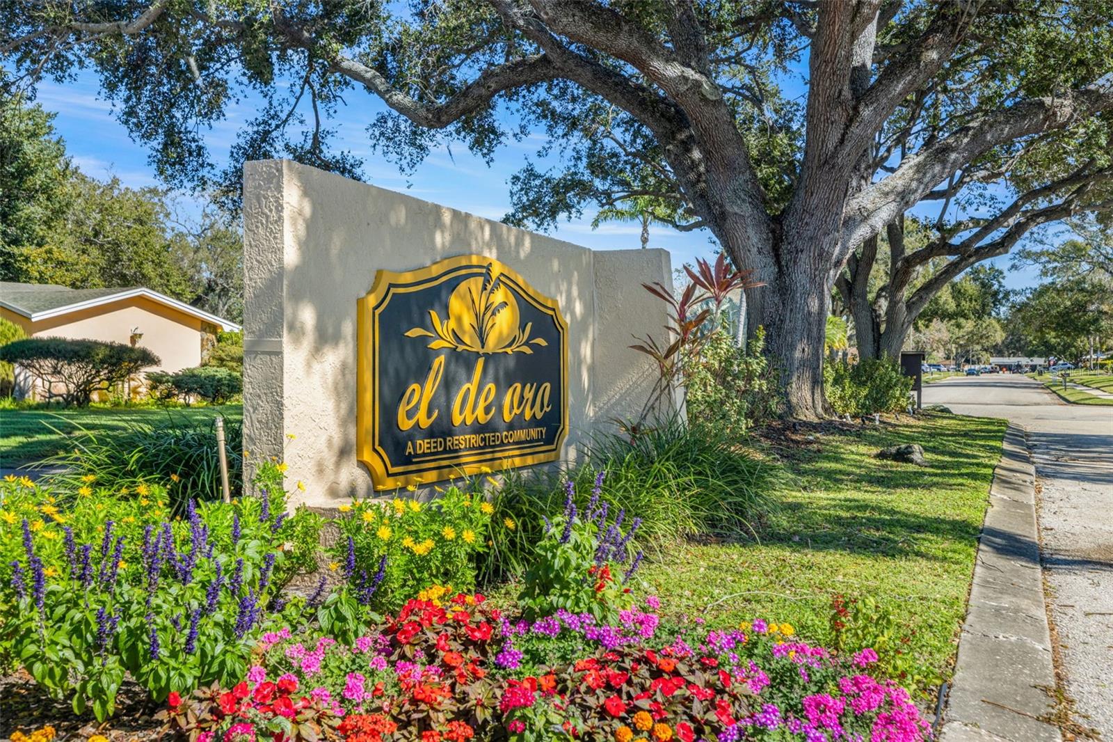 Image 40 of 40 For 2242 Buena Vista Drive