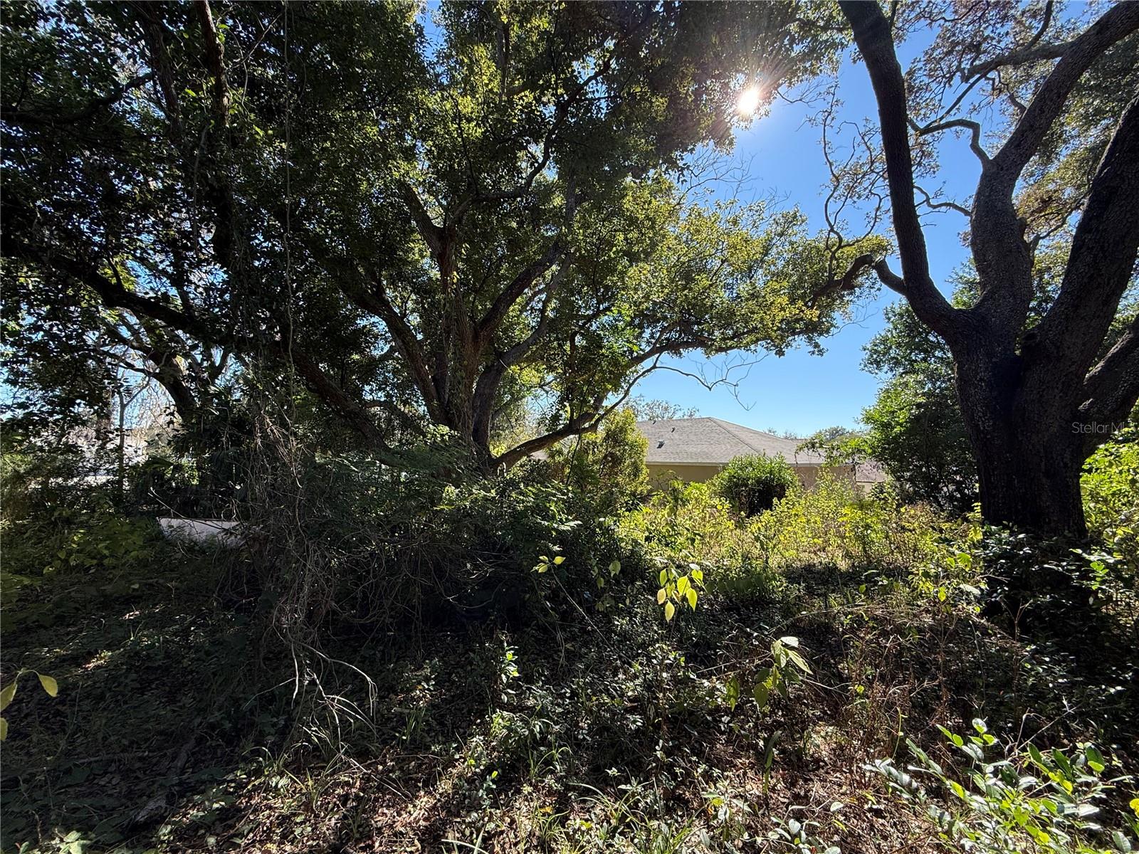 Image 15 of 23 For 6515 Taylor Court