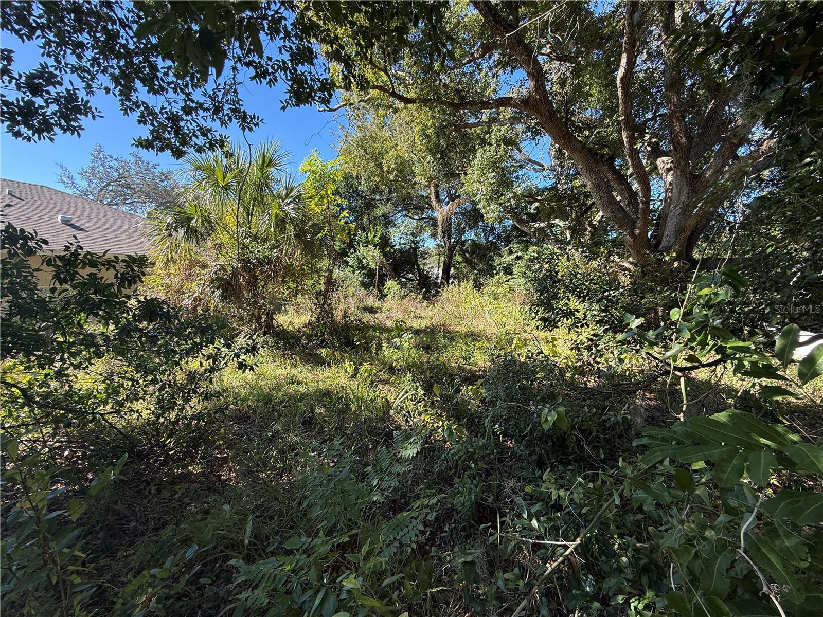 Image 18 of 23 For 6515 Taylor Court