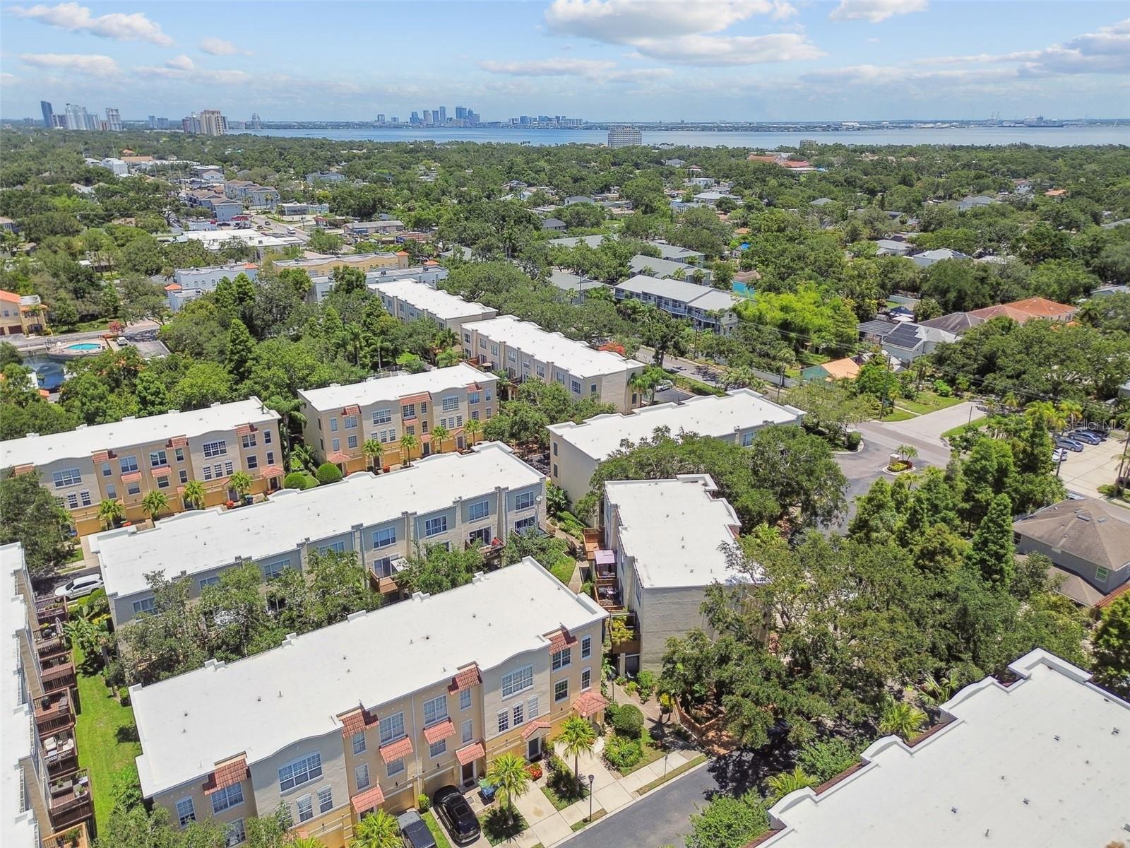 Image 76 of 77 For 3174 Bayshore Oaks Drive