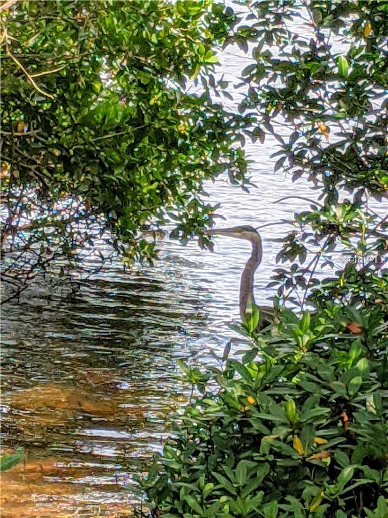 Image 43 of 70 For 6363 99th Way N 12i