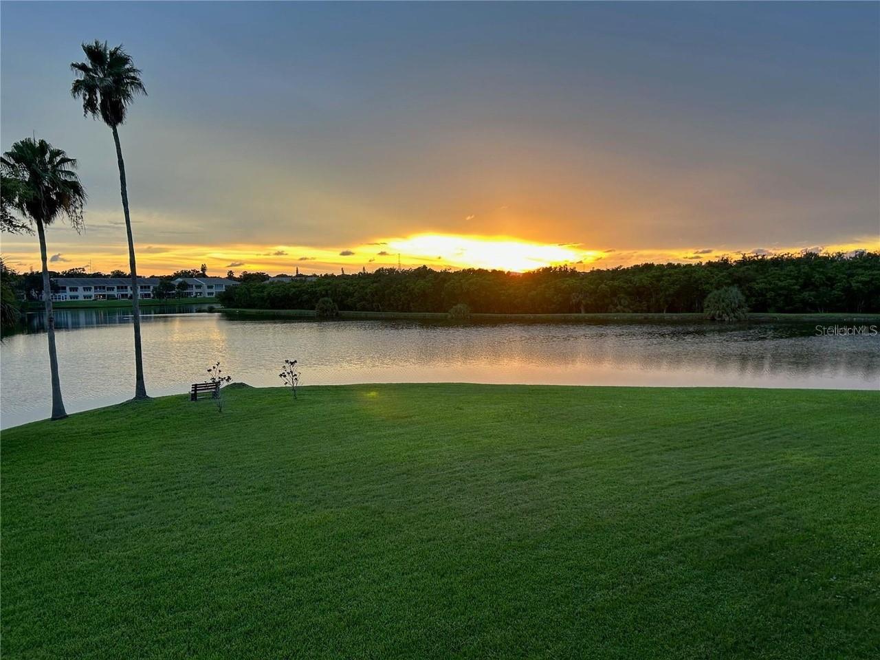 Image 46 of 70 For 6363 99th Way N 12i