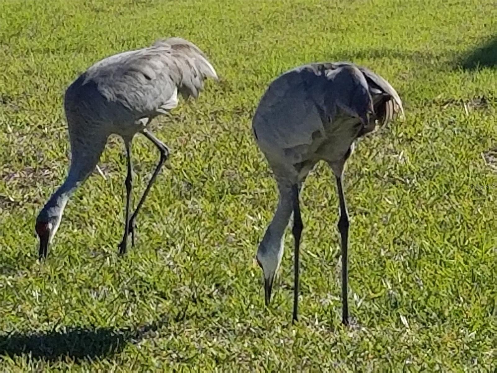 Image 40 of 67 For 14603 Mcdonald Lane