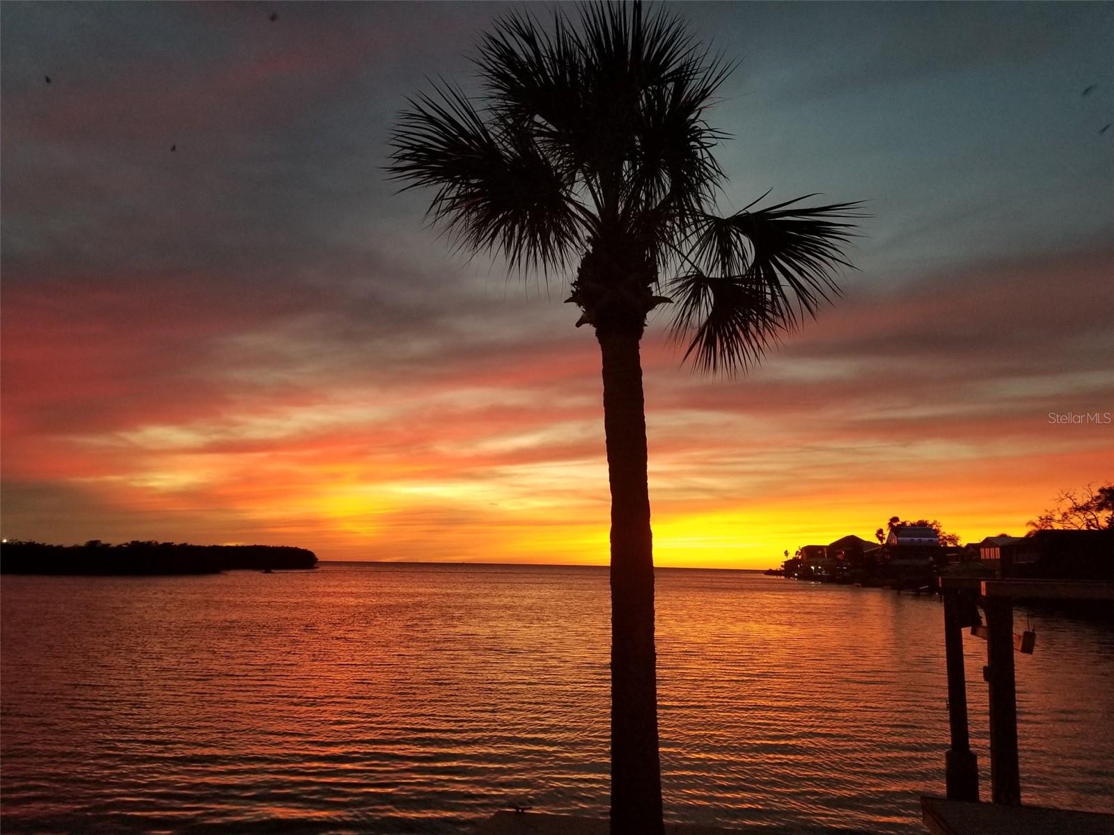 Image 50 of 67 For 14603 Mcdonald Lane