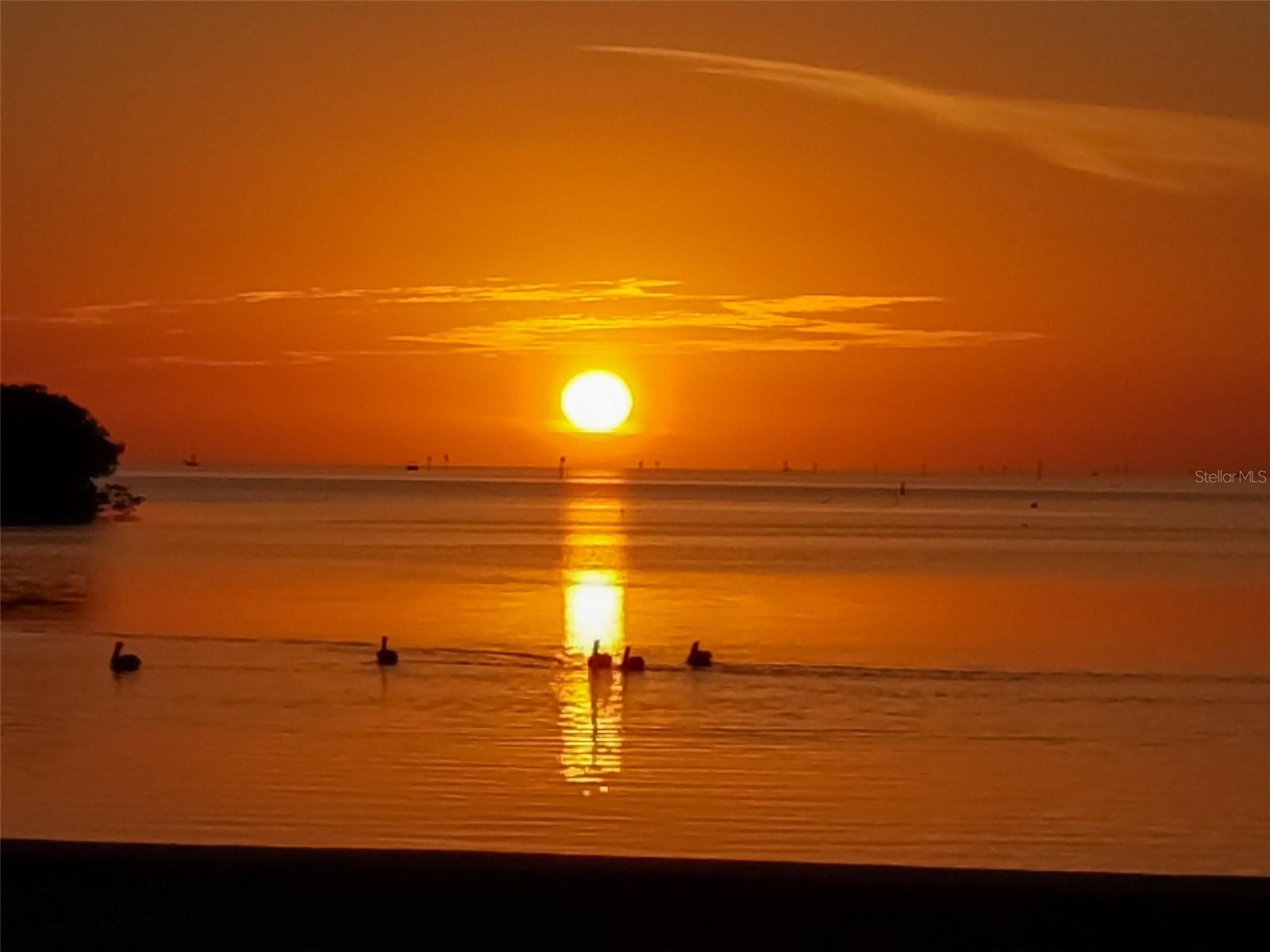 Image 54 of 67 For 14603 Mcdonald Lane