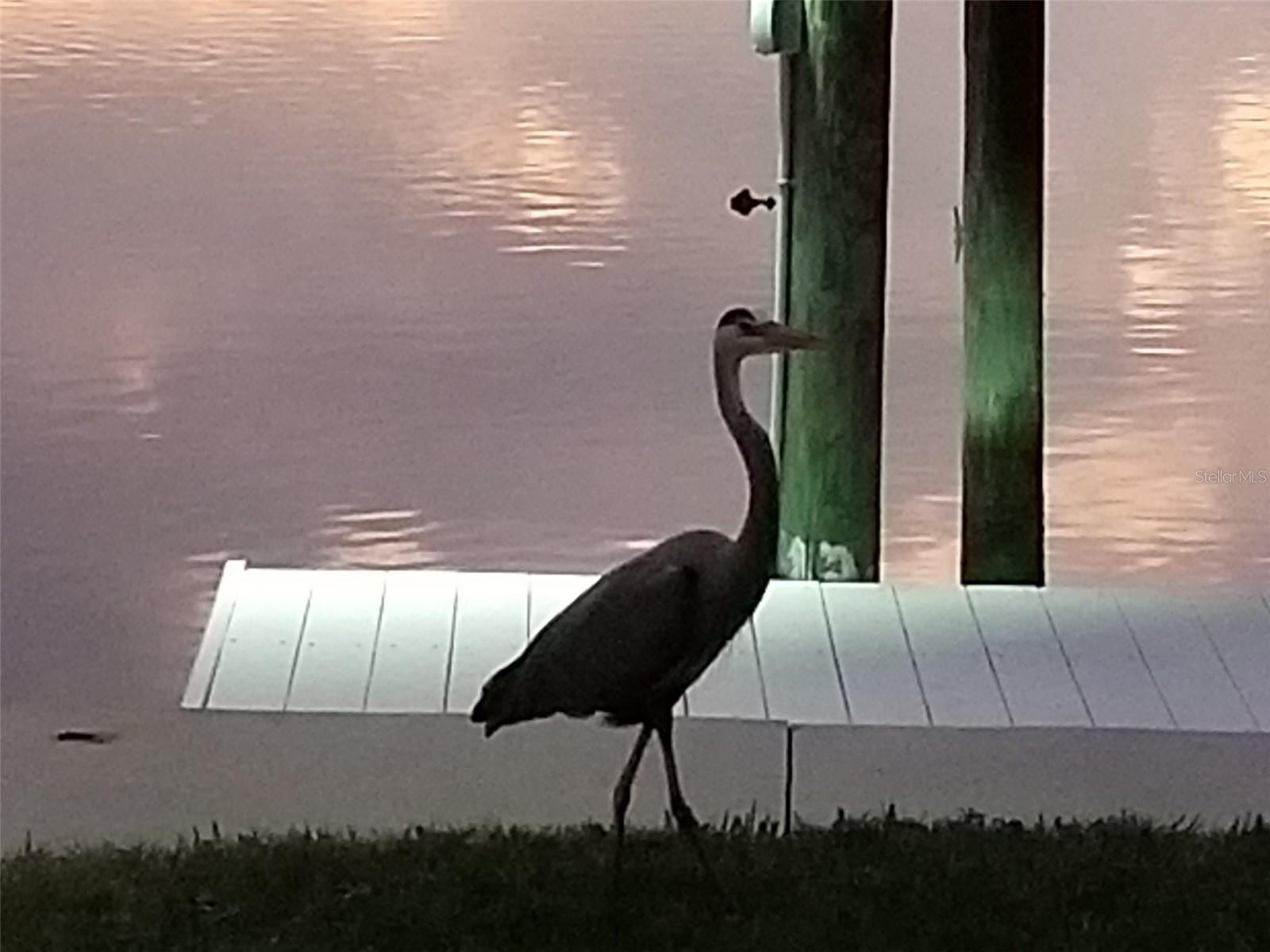 Image 64 of 67 For 14603 Mcdonald Lane