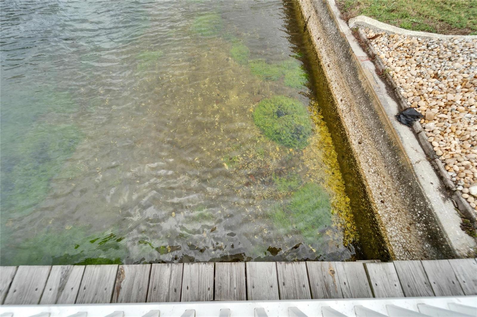 Image 62 of 70 For 1710 New Bedford Drive