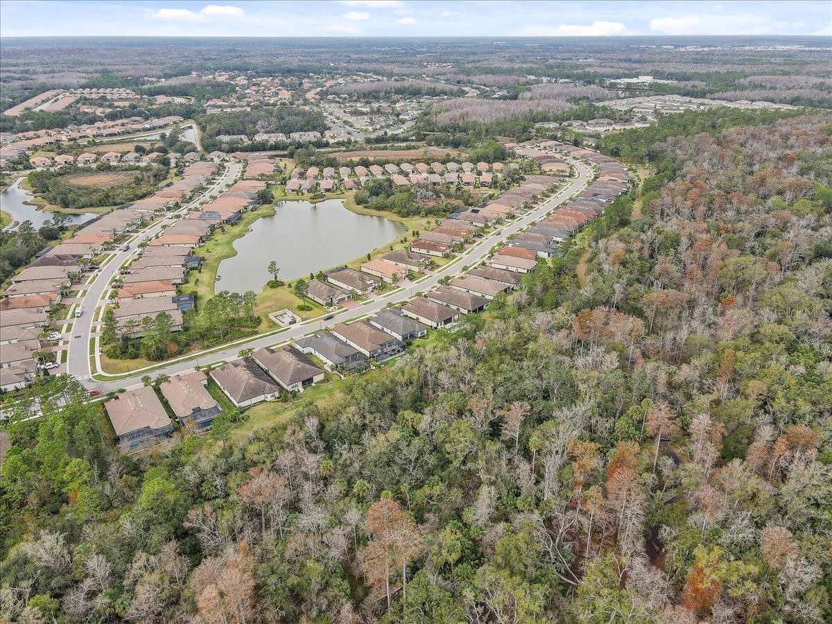 Image 56 of 81 For 20113 Umbria Hill Drive