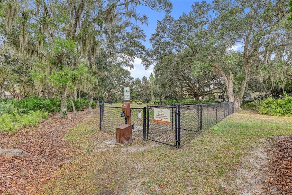 Image 74 of 81 For 20113 Umbria Hill Drive