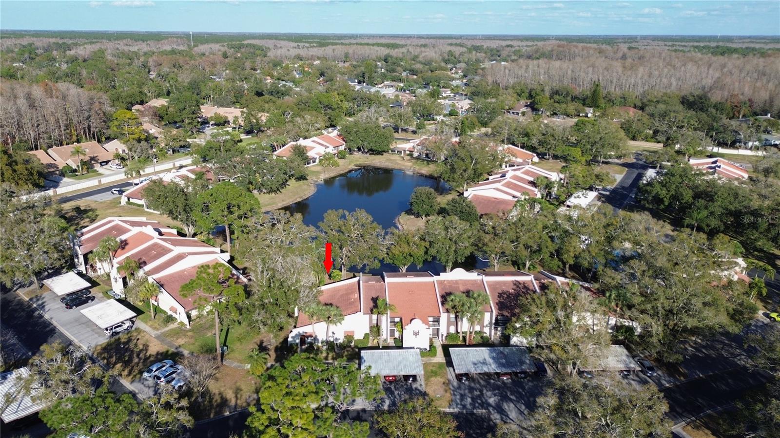 Image 2 of 62 For 3505 Tarpon Woods Boulevard I-406