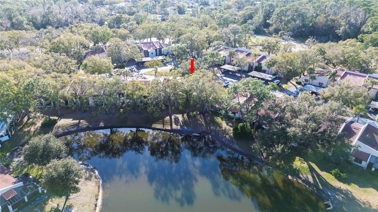 Image 4 of 62 For 3505 Tarpon Woods Boulevard I-406