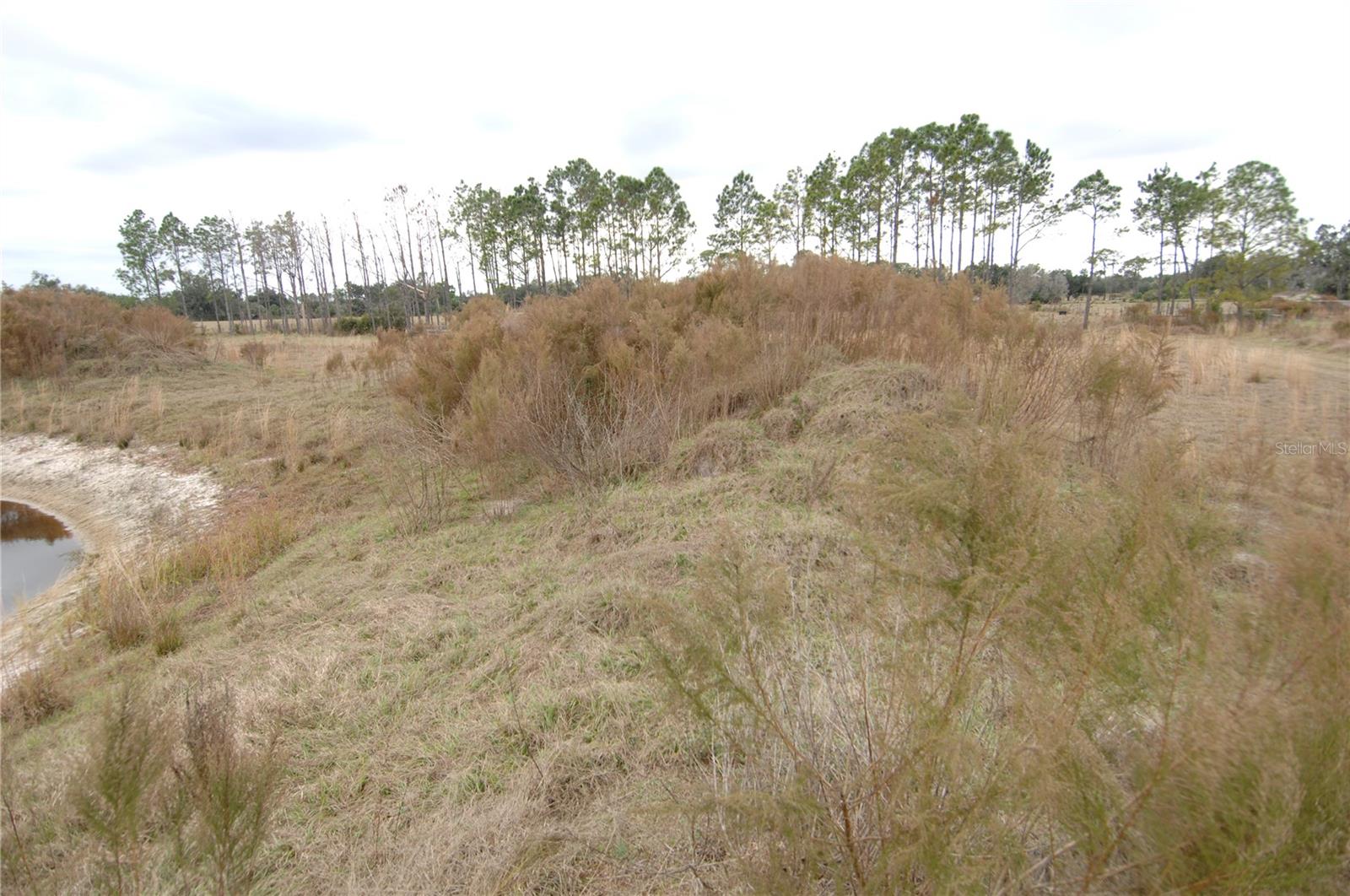 Image 43 of 53 For 14780 Sugar Bowl Road