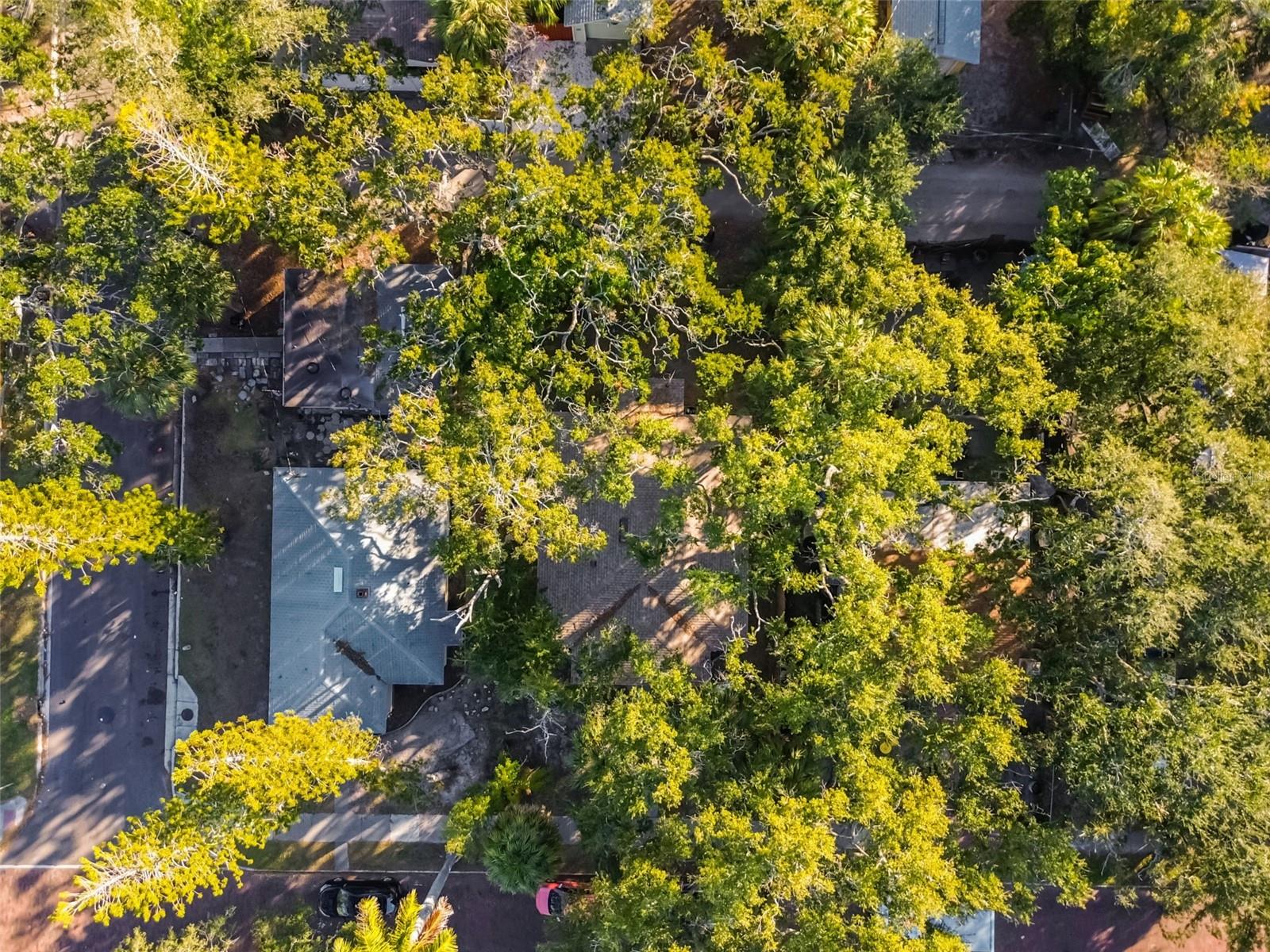 Image 29 of 38 For 610 16th Avenue S