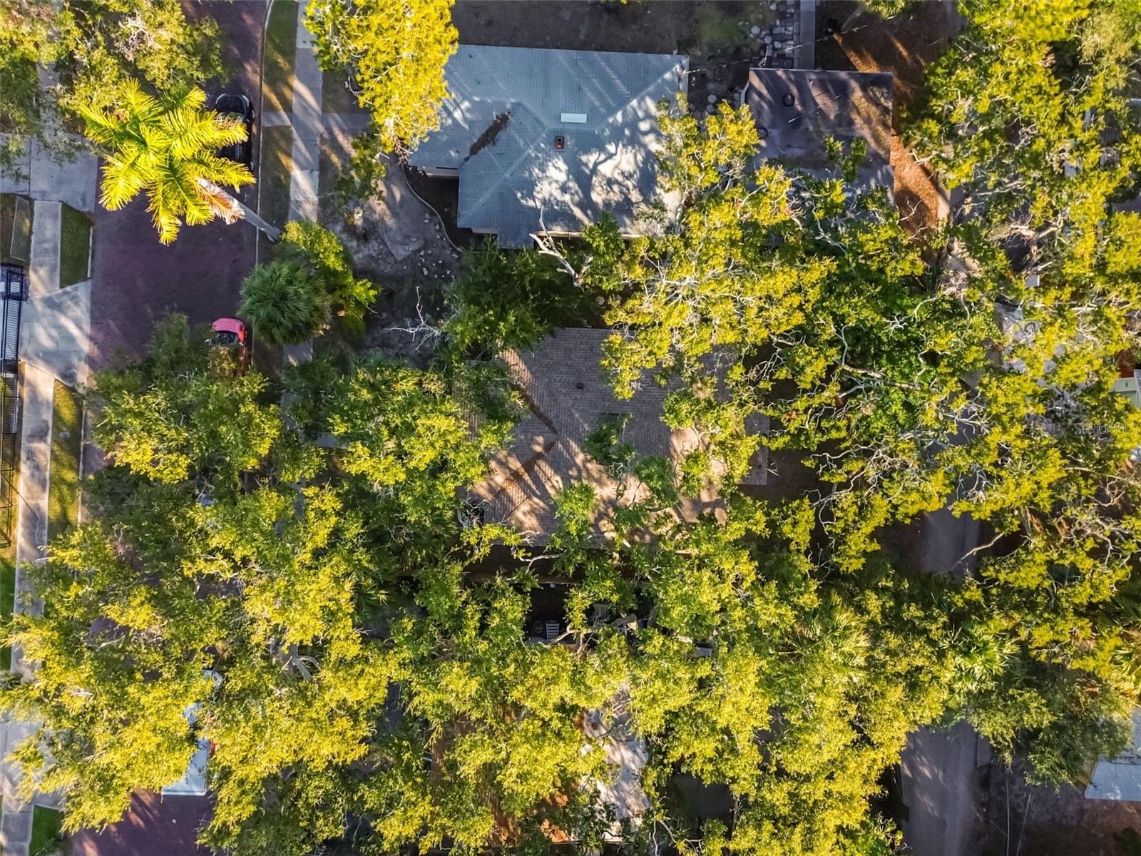 Image 30 of 38 For 610 16th Avenue S