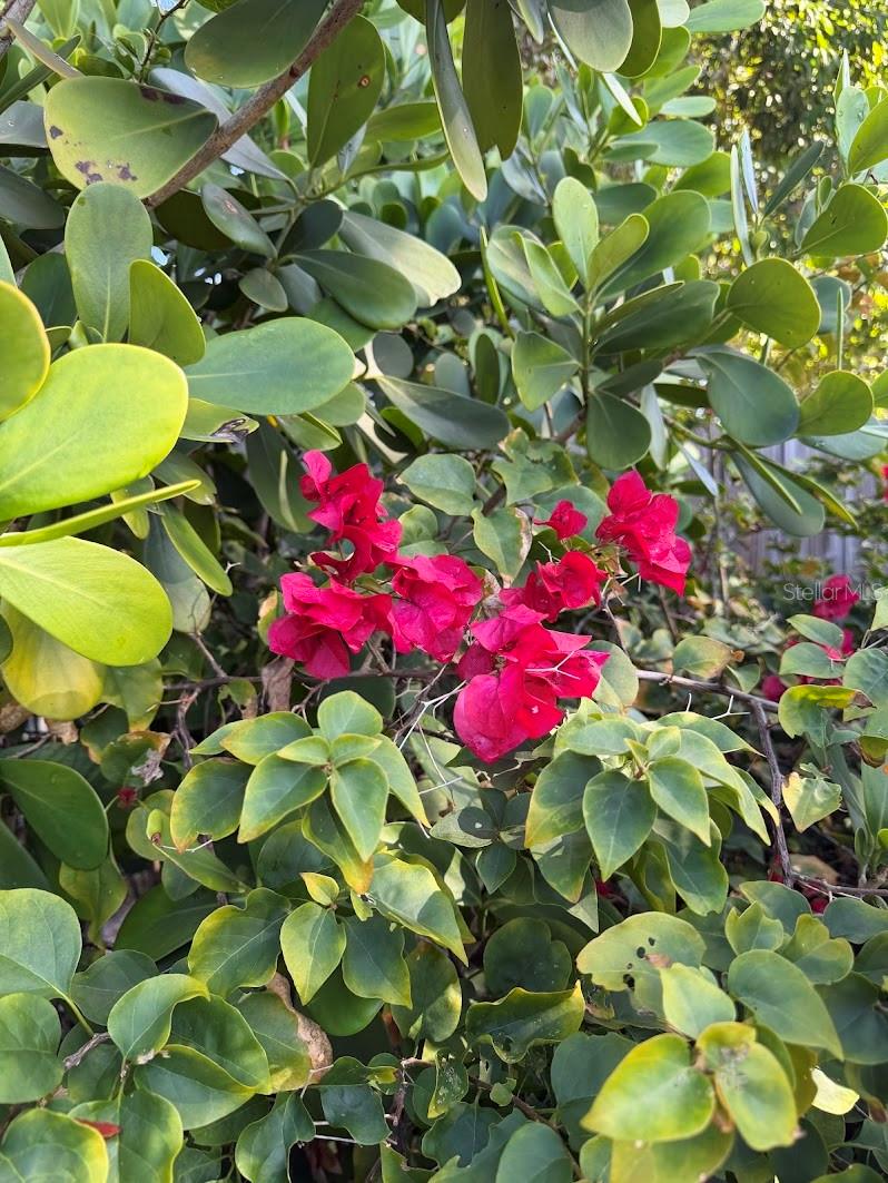 Image 18 of 20 For 5721 10th Avenue N