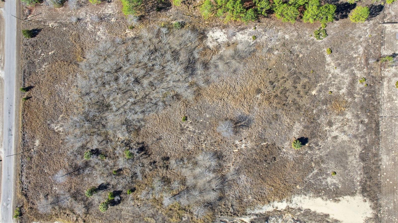 Image 24 of 27 For Sweet Gum Road