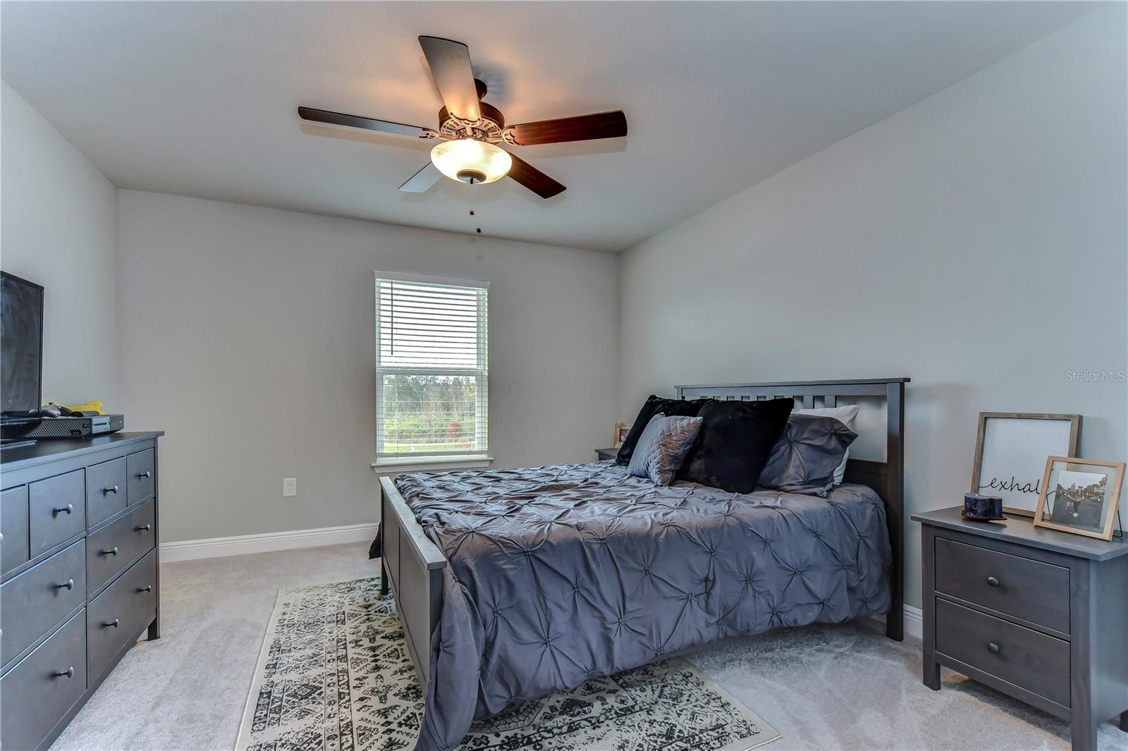 Image 57 of 66 For 2938 Rambler Ivy Loop