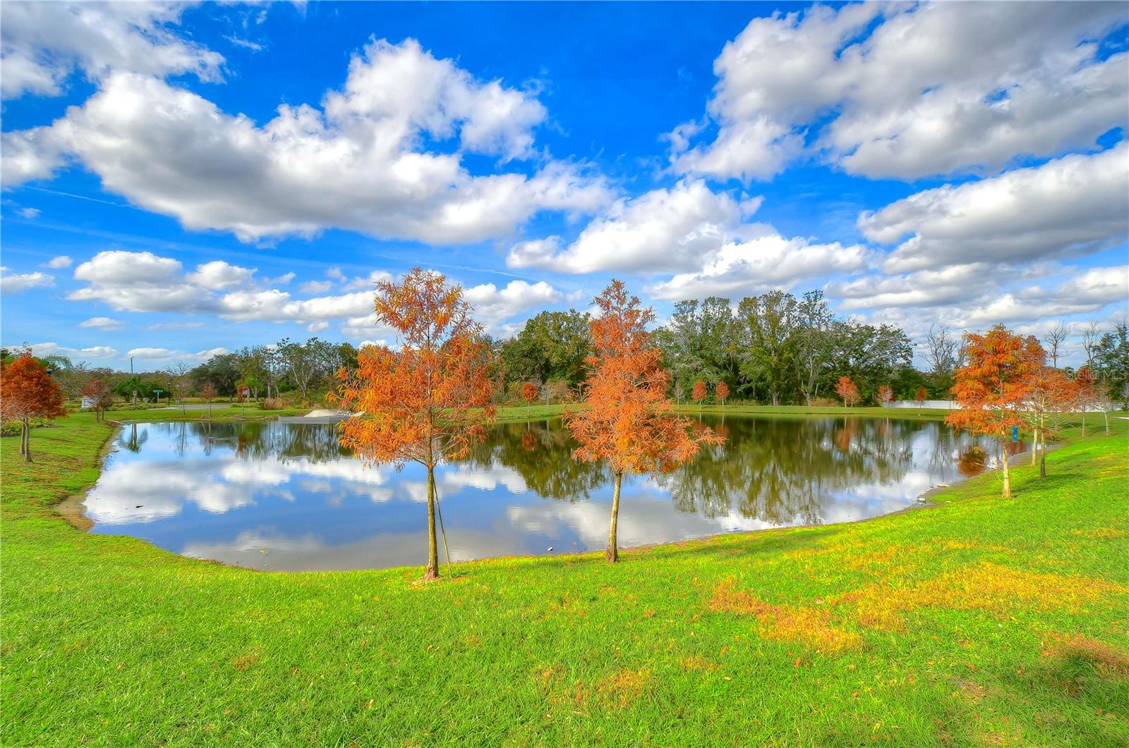 Image 64 of 66 For 2938 Rambler Ivy Loop