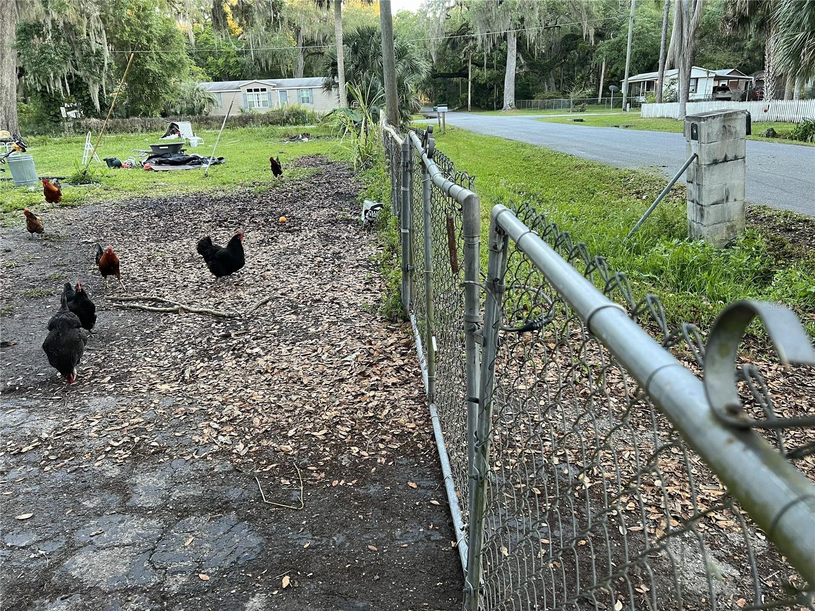 Details for 2805 Cr 423  , LAKE PANASOFFKEE, FL 33538