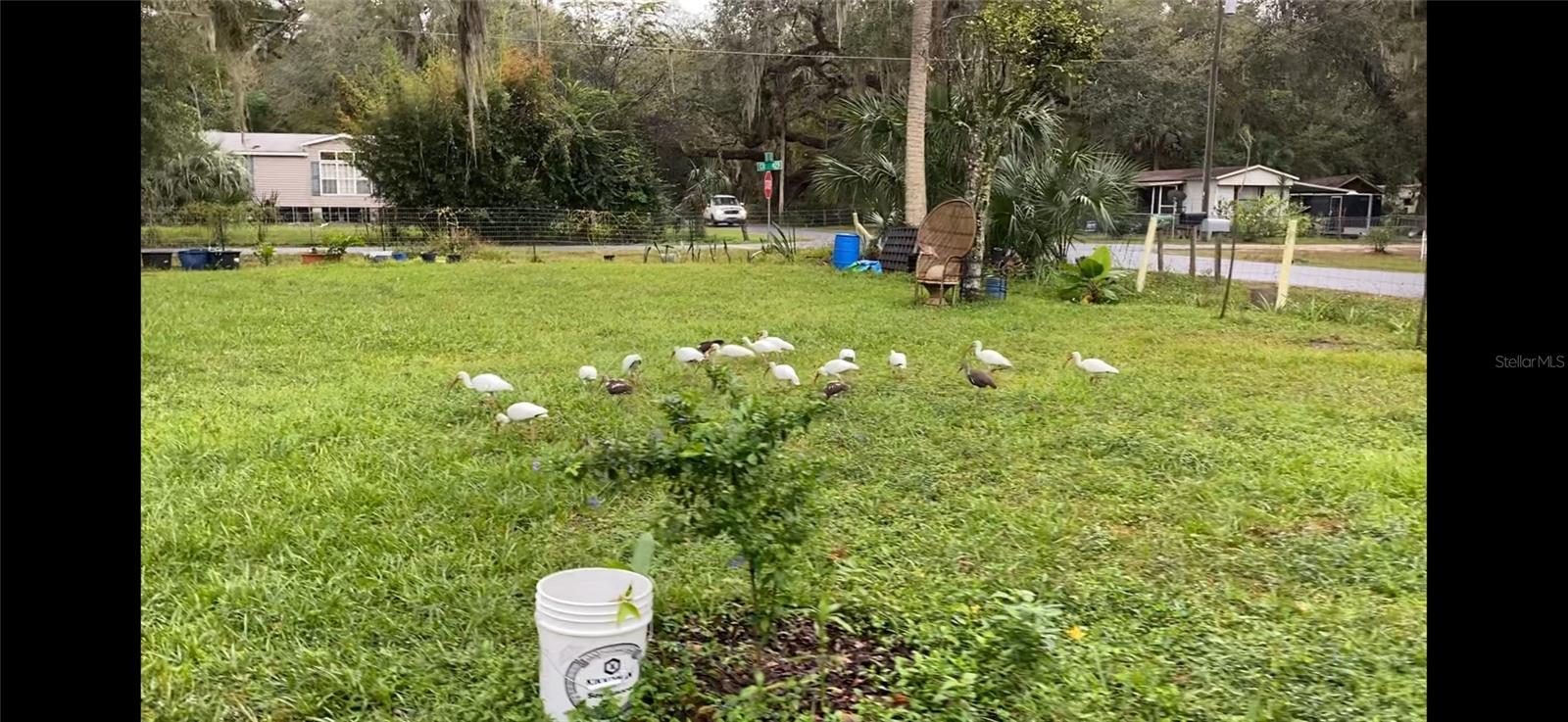 Image 3 of 3 For 2805 Cr 423  