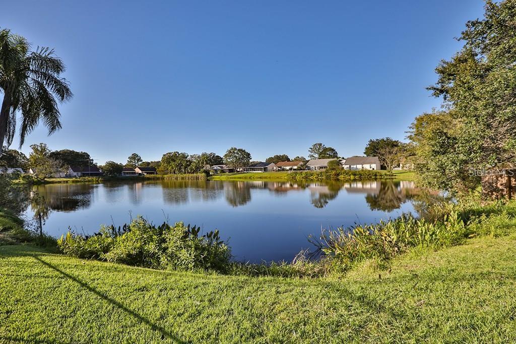 Image 6 of 6 For 7920 George Washington Lane