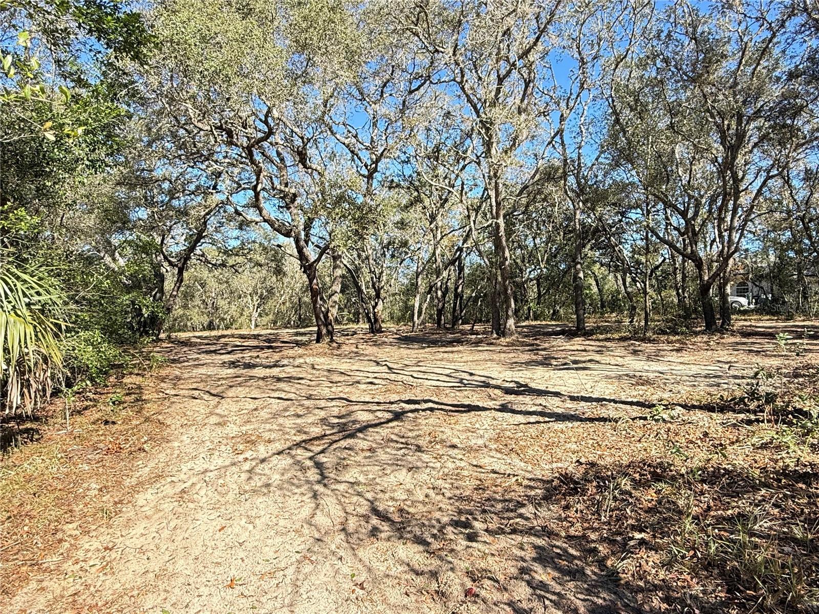 Image 2 of 8 For 131 Massachusetts Street