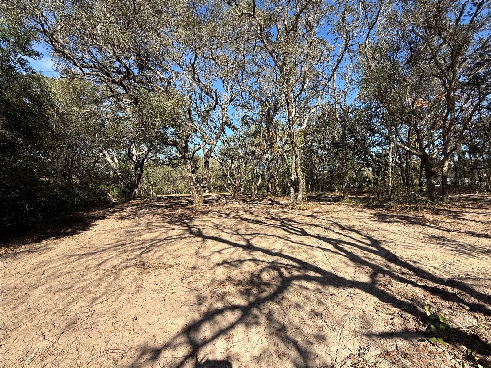 Image 3 of 8 For 131 Massachusetts Street